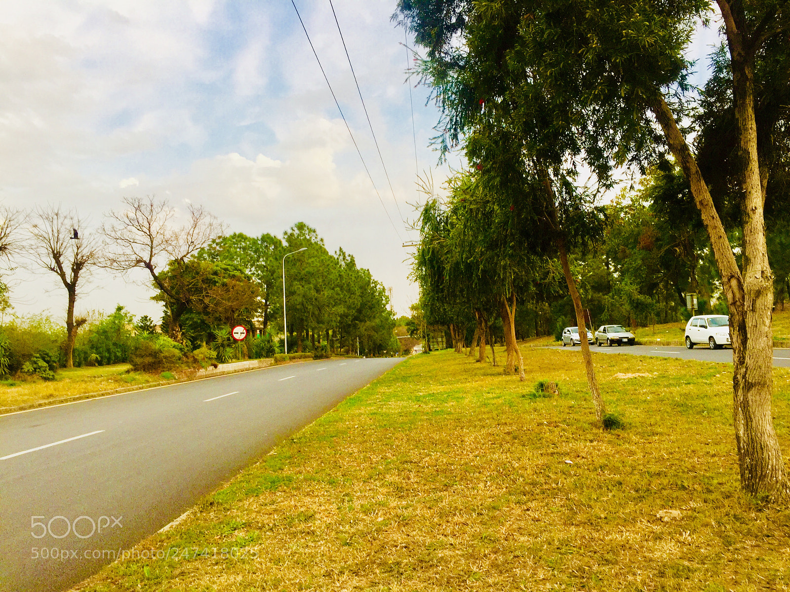 Apple iPhone 6 sample photo. Untitled photography