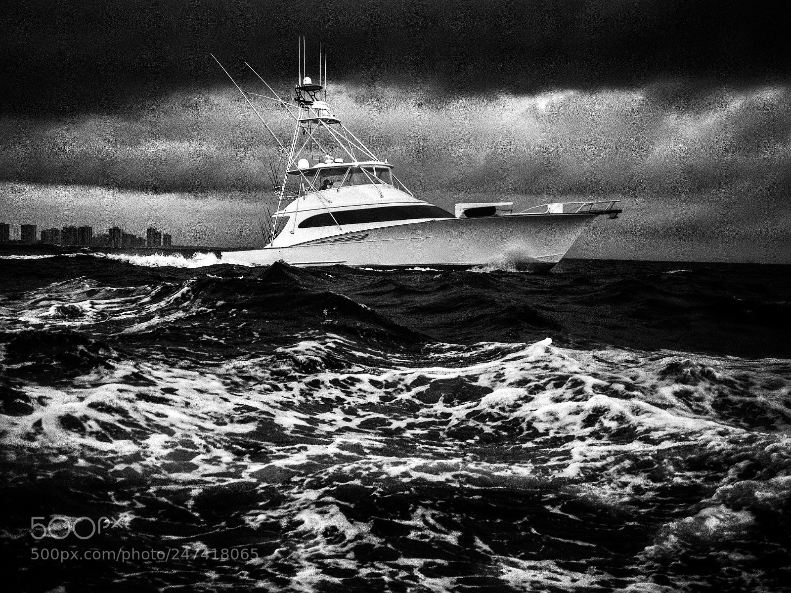 Olympus OM-D E-M1 Mark II sample photo. Sportfisher photography