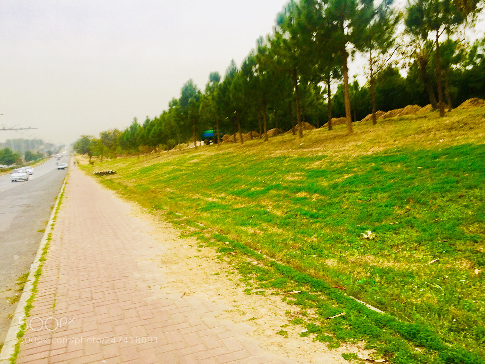 Apple iPhone 6 sample photo. Untitled photography