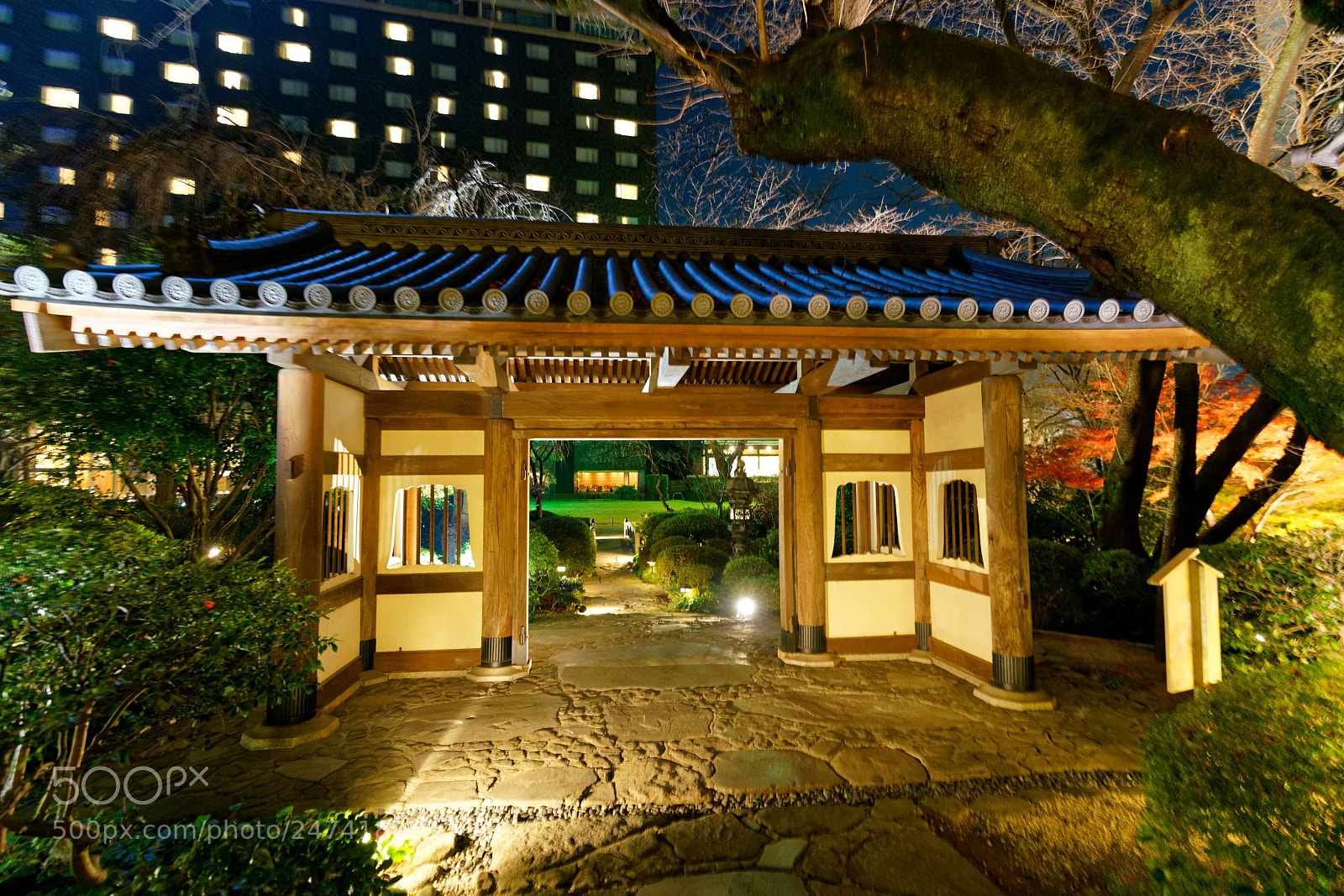 Sony a7R II sample photo. Tokyo night ii photography