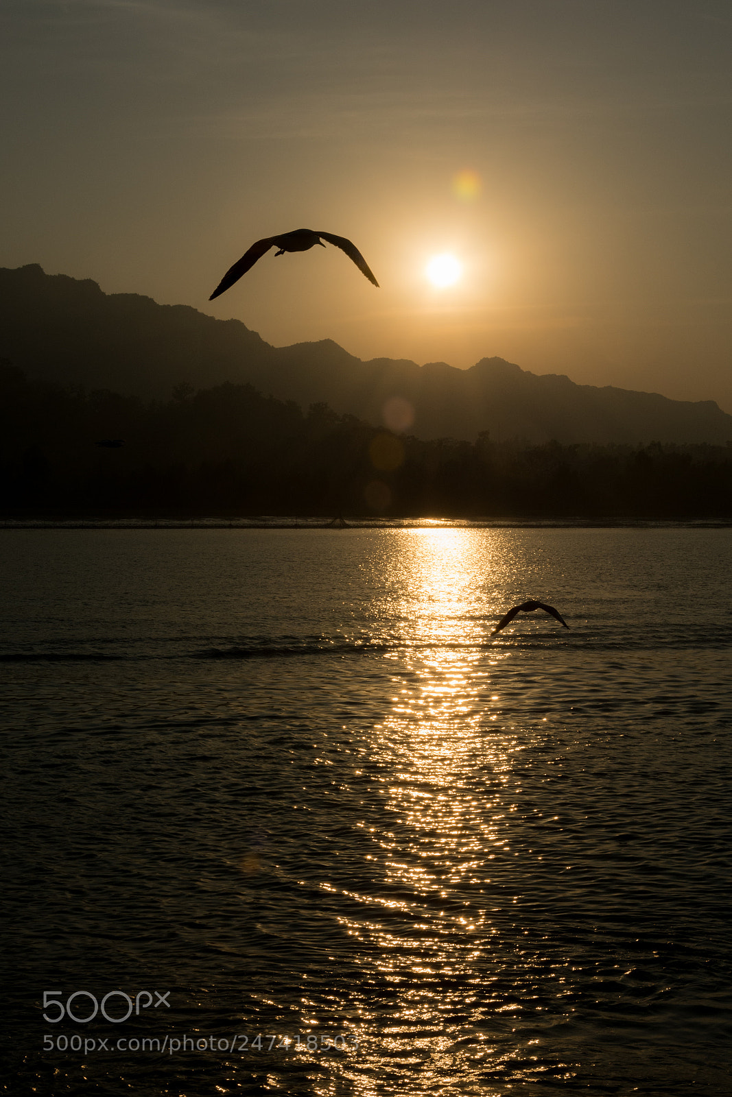 Nikon D7100 sample photo. Let's fky photography