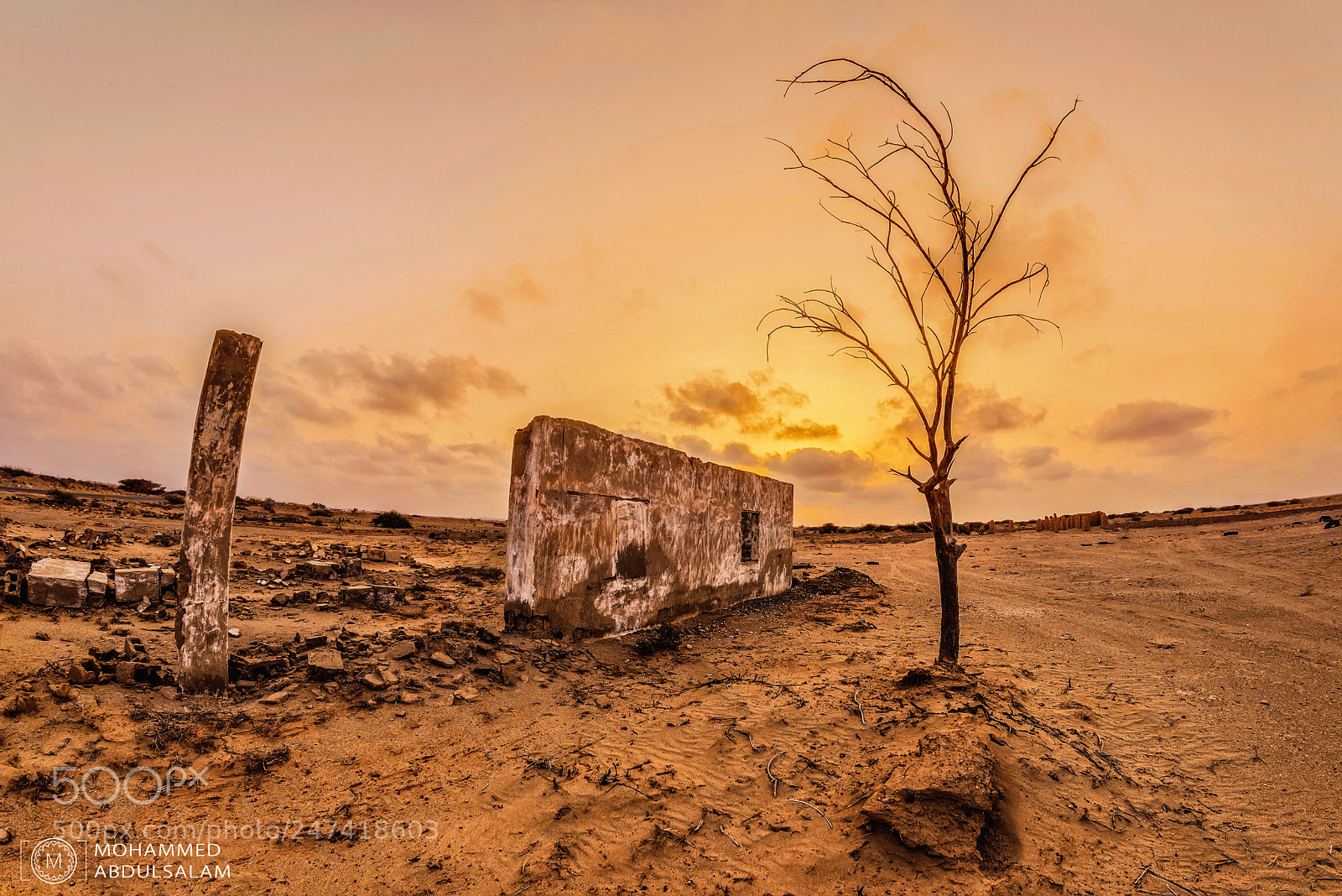 Nikon D610 sample photo. آثار photography