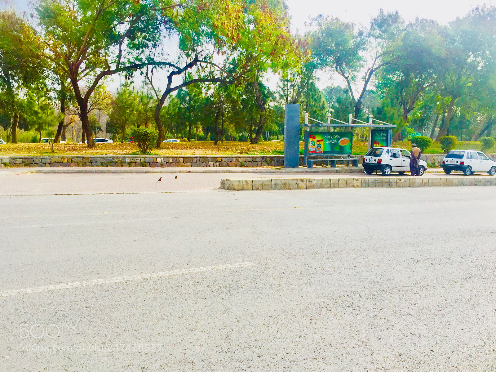 Apple iPhone 6 sample photo. Untitled photography