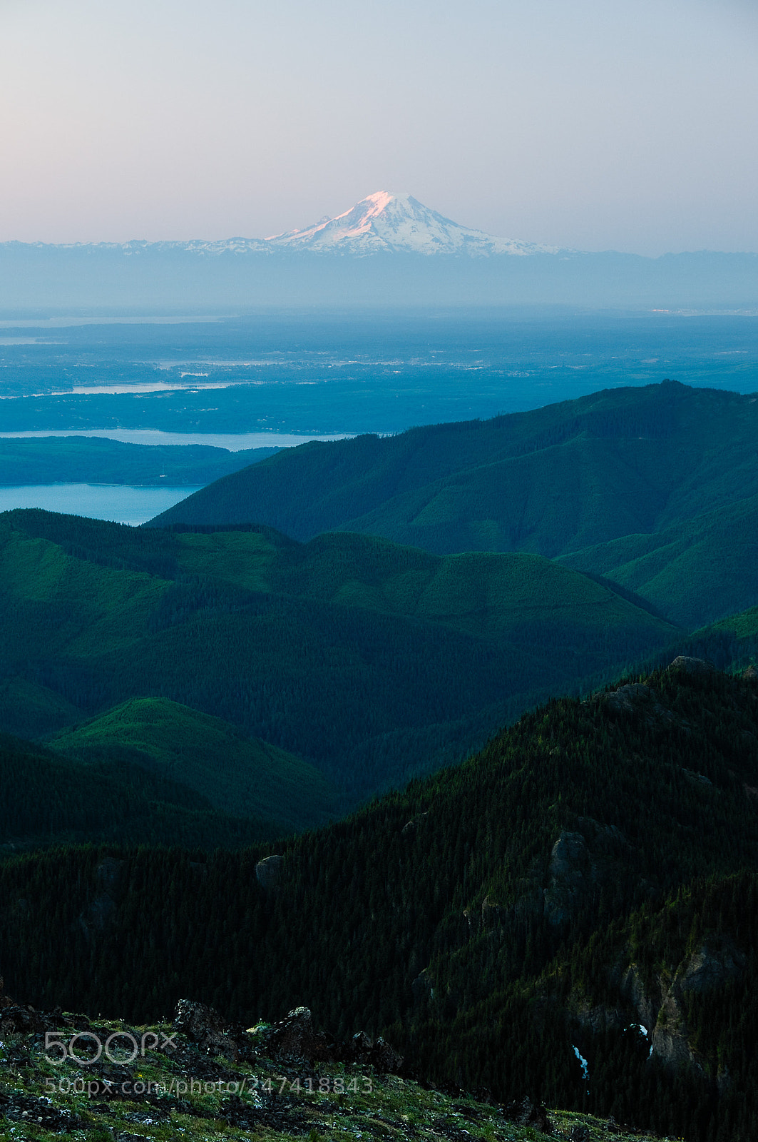 Nikon D300 sample photo. Mt. rainier photography