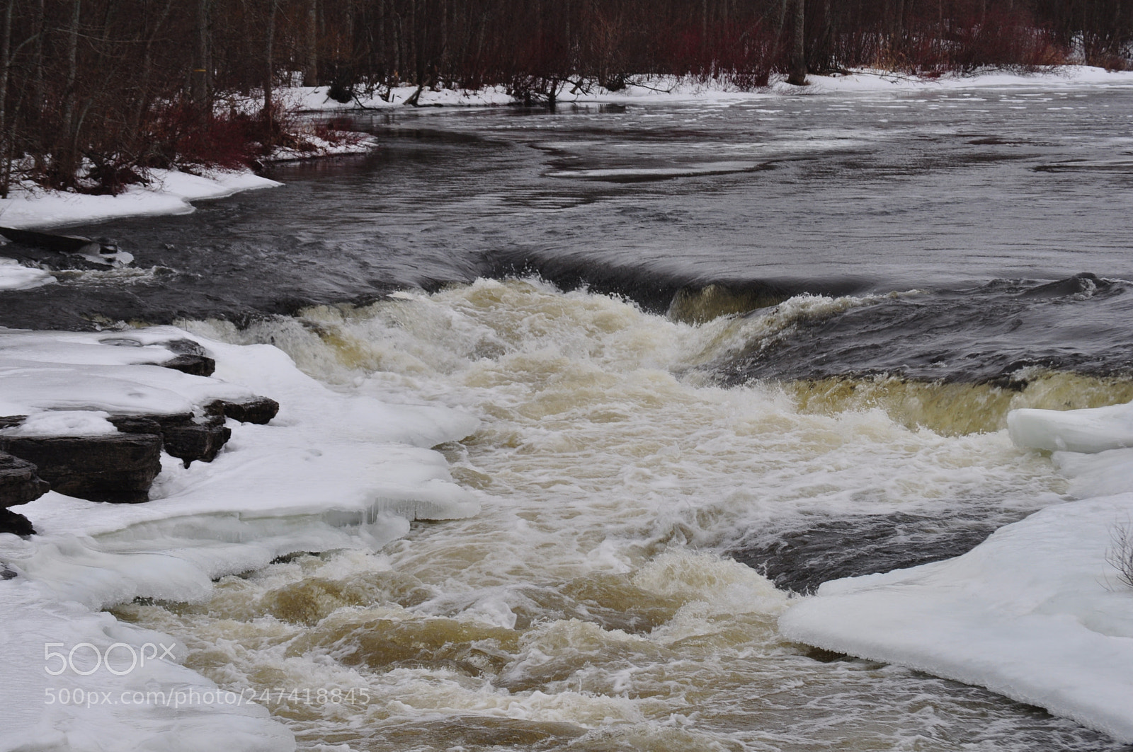 Nikon D5000 sample photo. Spring runoff photography