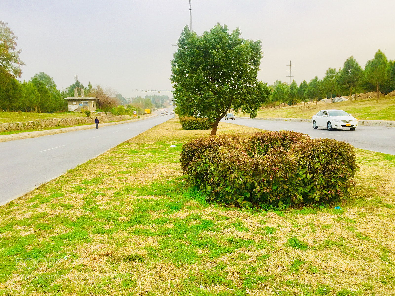 Apple iPhone 6 sample photo. Untitled photography