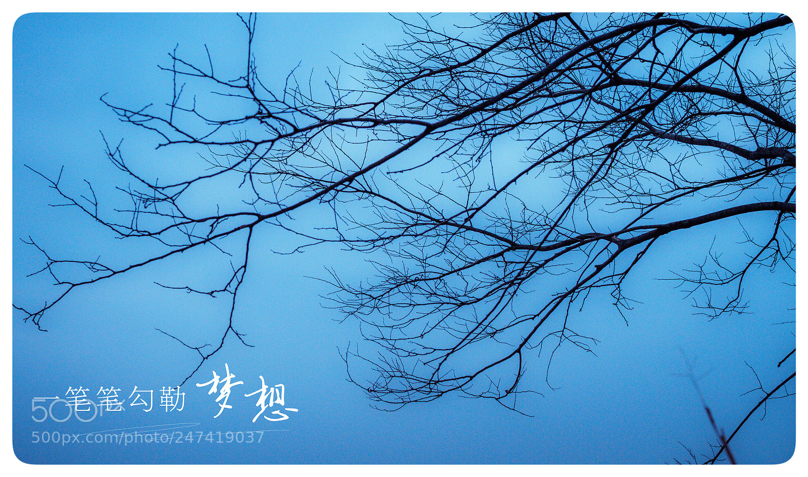 Canon EOS 7D sample photo. Untitled photography