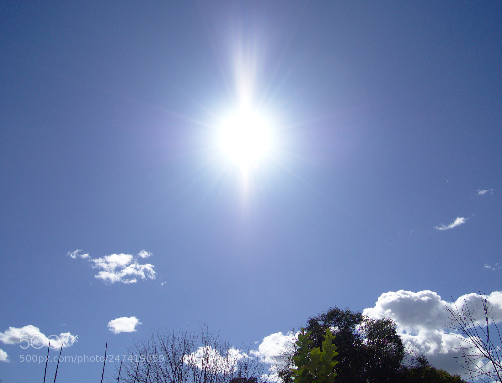 Olympus OM-D E-M10 II sample photo. Bright photography