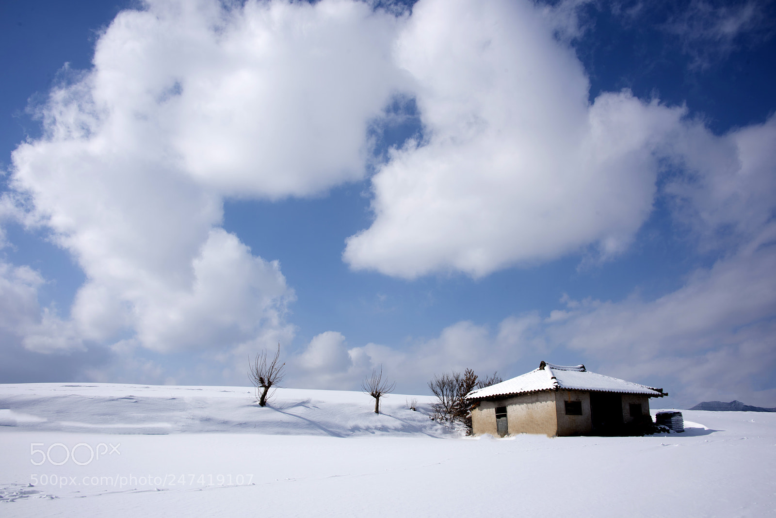 Nikon D810 sample photo. A house photography