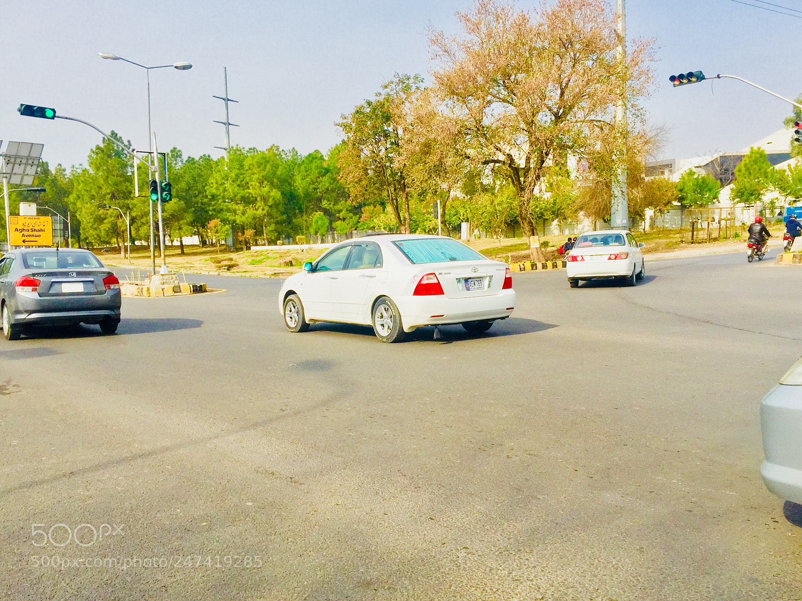 Apple iPhone 6 sample photo. Untitled photography