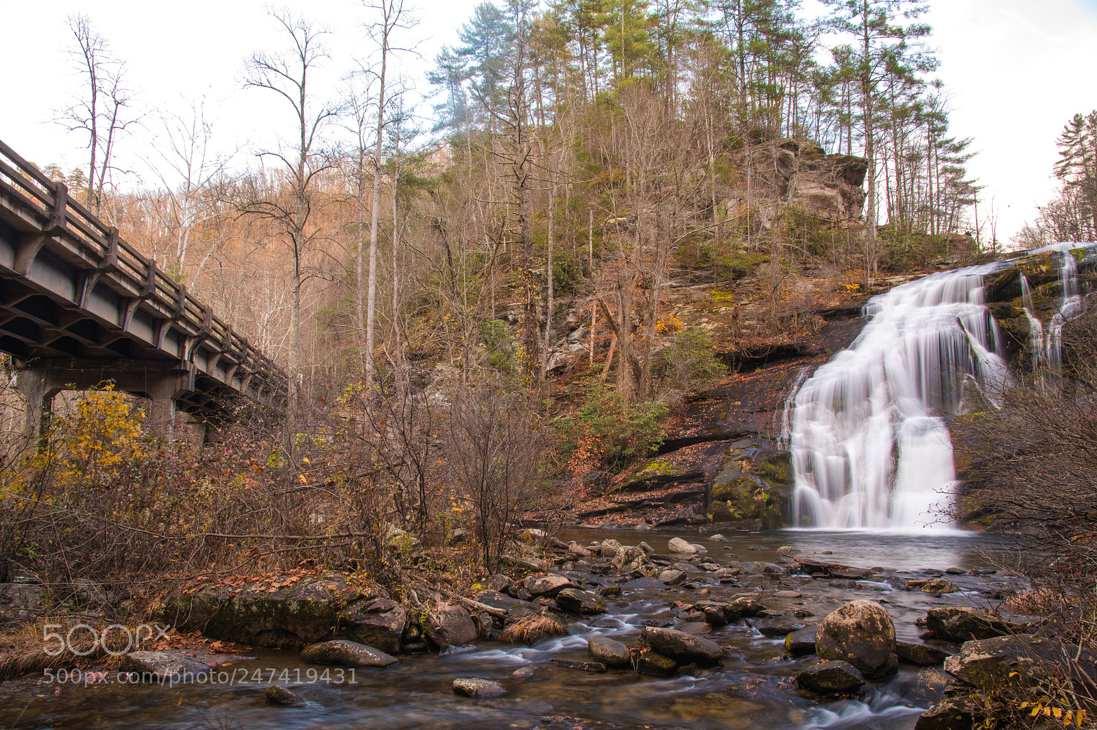Nikon D500 sample photo. By land or by photography
