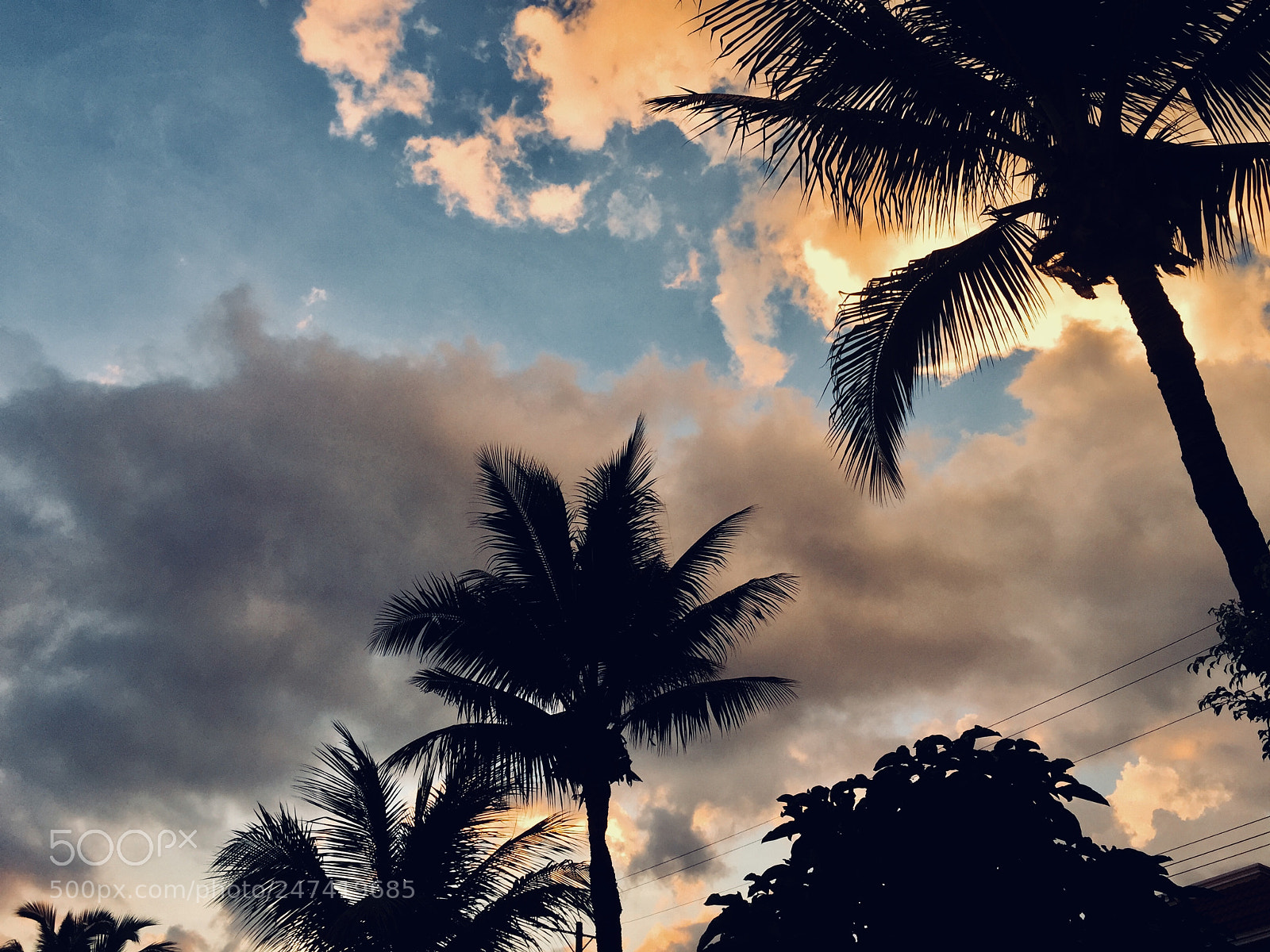 Apple iPhone 6 Plus sample photo. Untitled photography