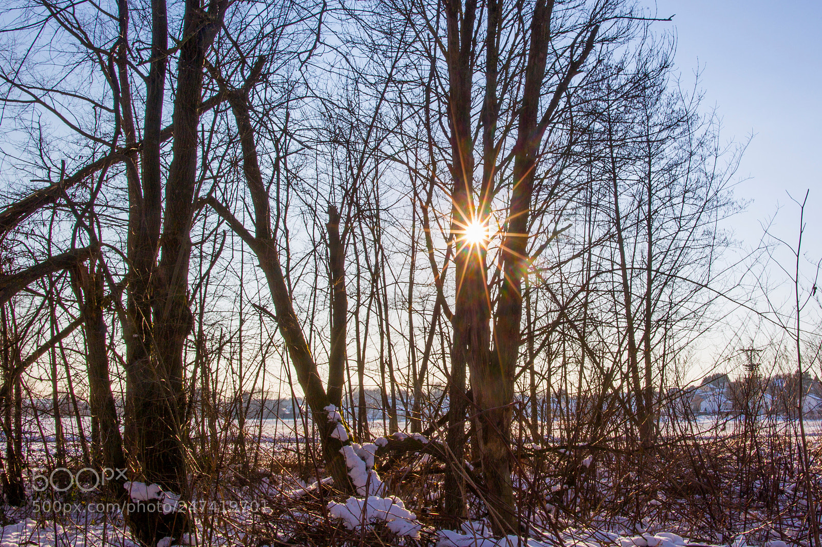 Canon EOS-1D Mark IV sample photo. The sun shines through photography
