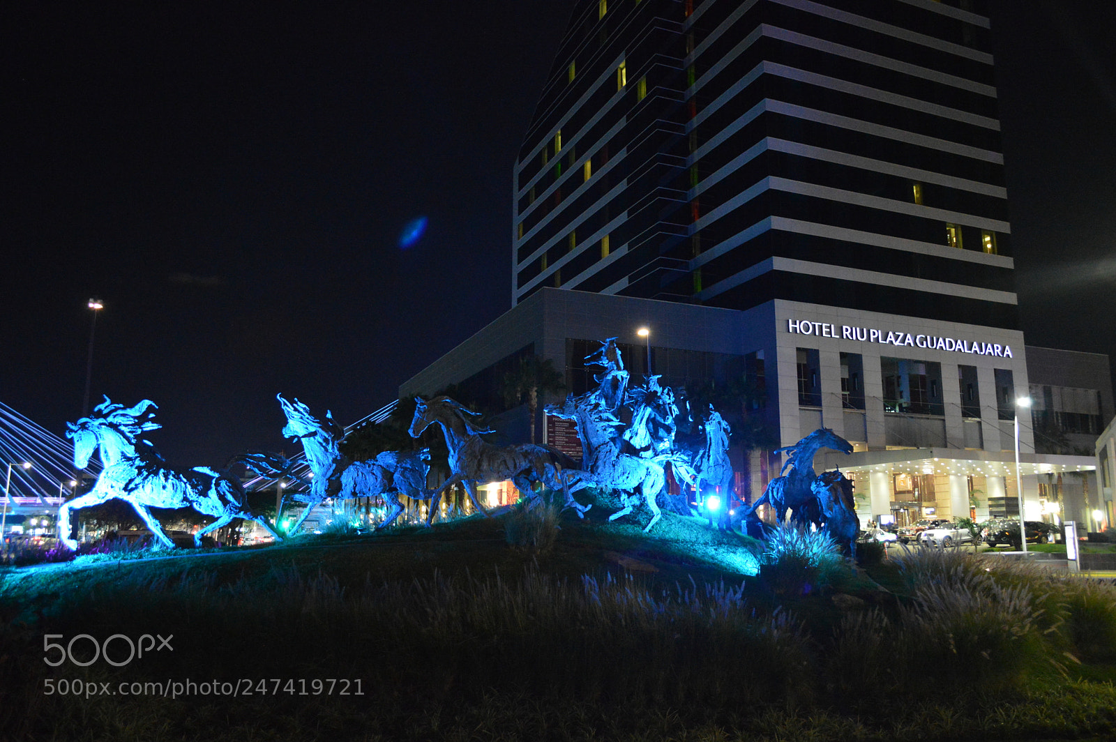 Nikon D3200 sample photo. Estampida photography