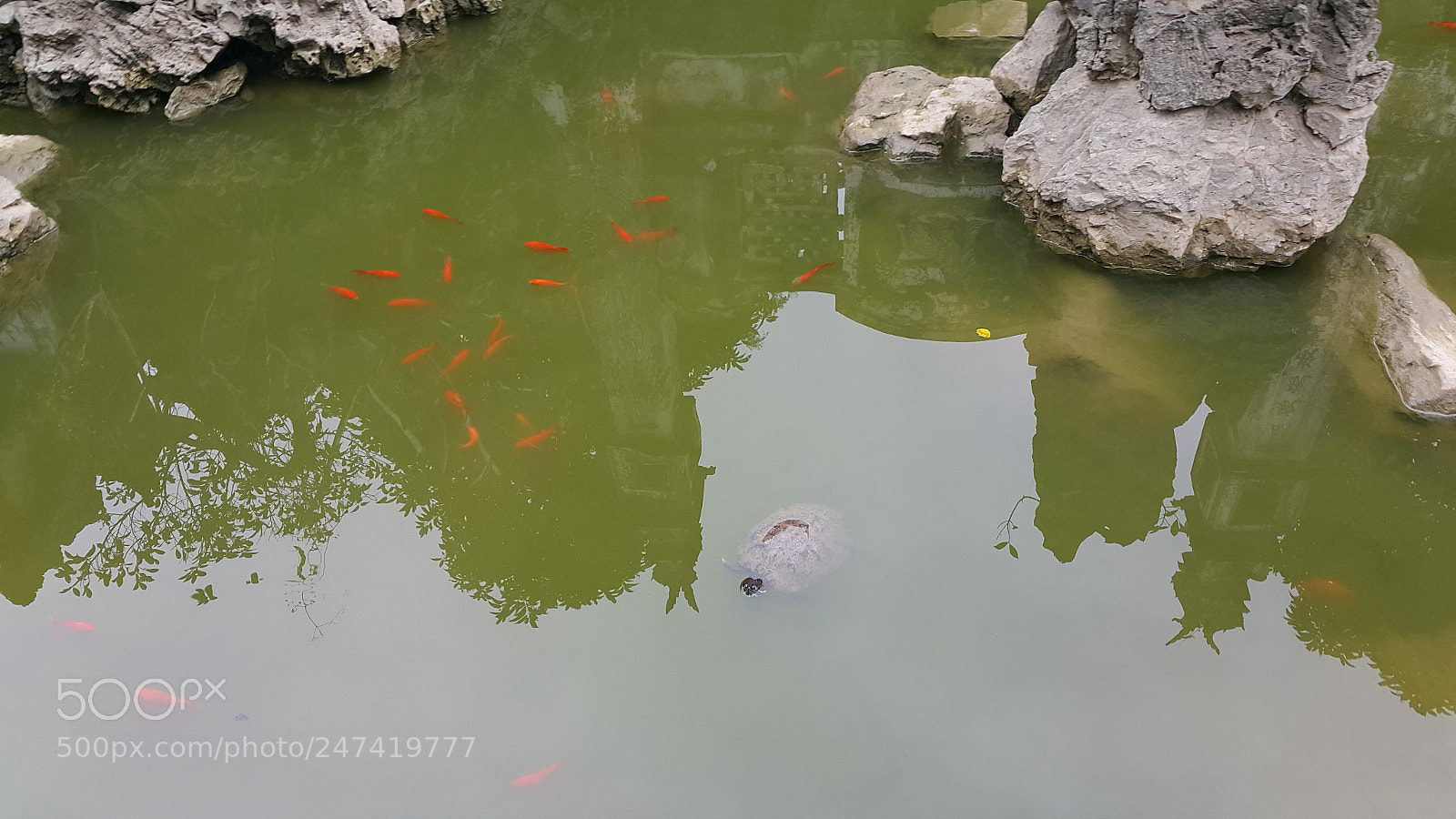 Samsung Galaxy Note4 sample photo. Chua huong photography
