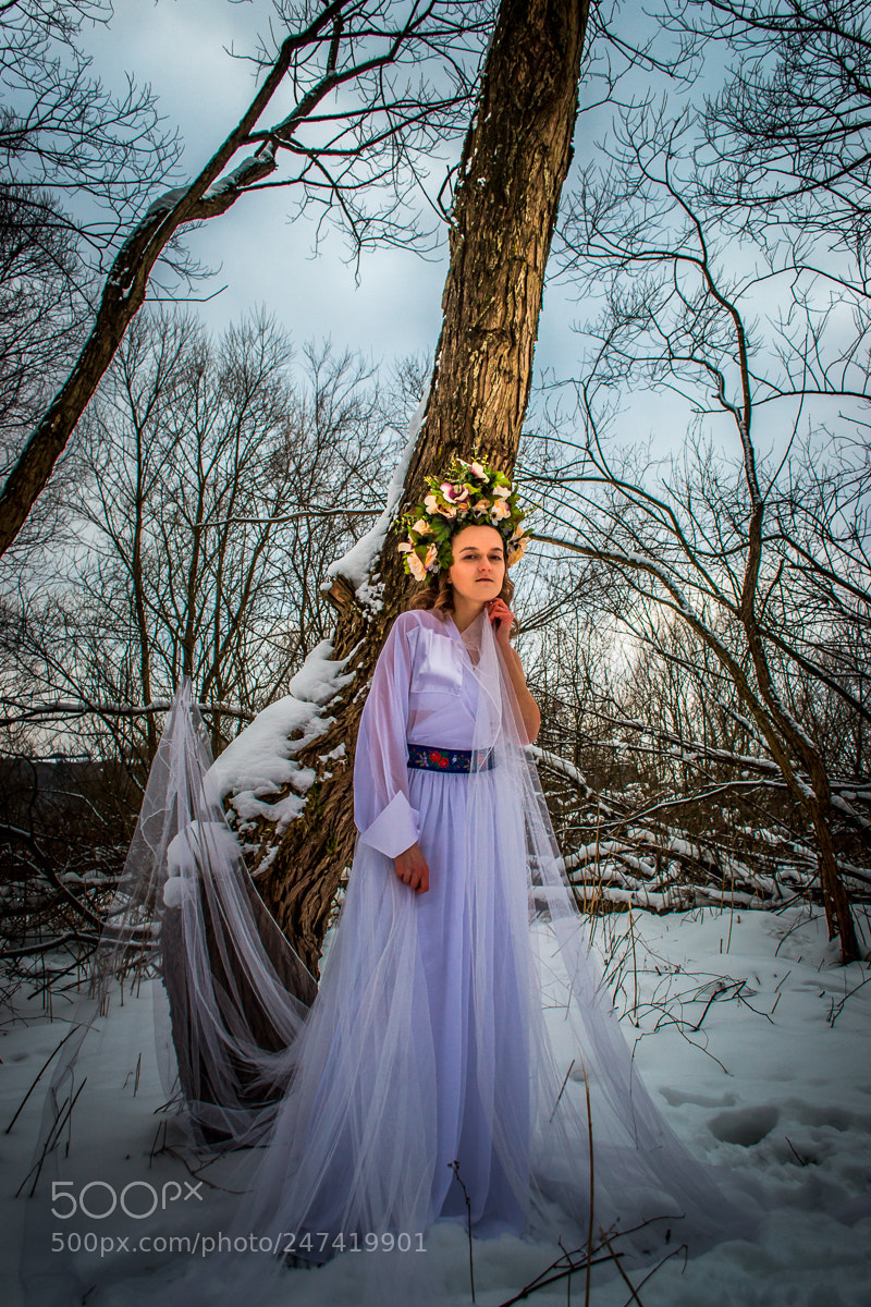 Nikon D3100 sample photo. Winter beauty photography