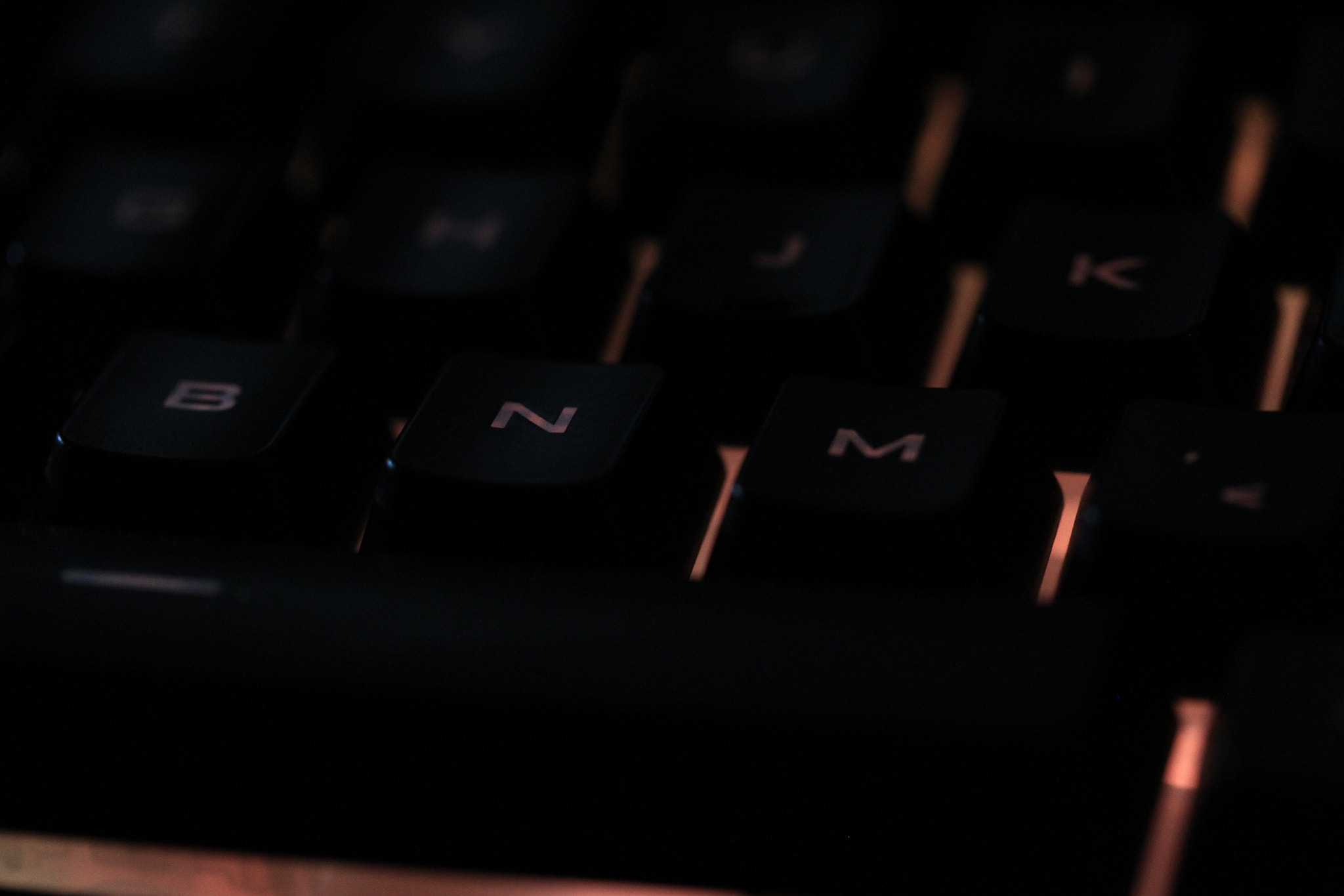 Canon EF-S 60mm F2.8 Macro USM sample photo