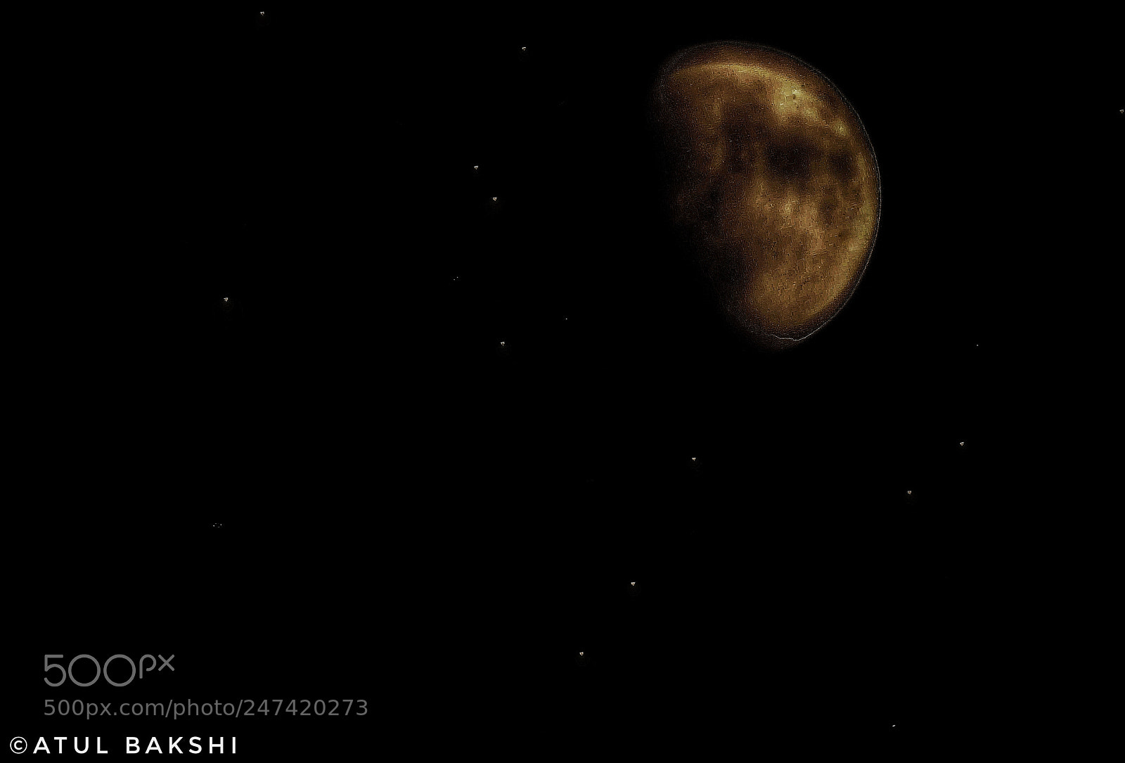 Nikon D7100 sample photo. Untitled photography