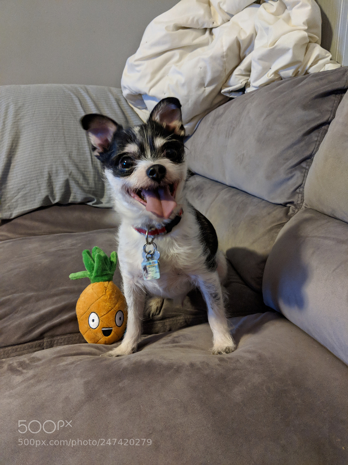 Google Pixel 2 XL sample photo. Julio photography