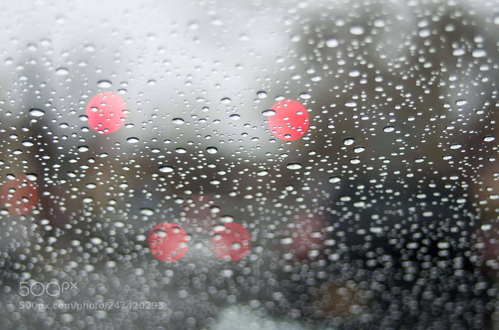 Pentax K-50 sample photo. Red light photography