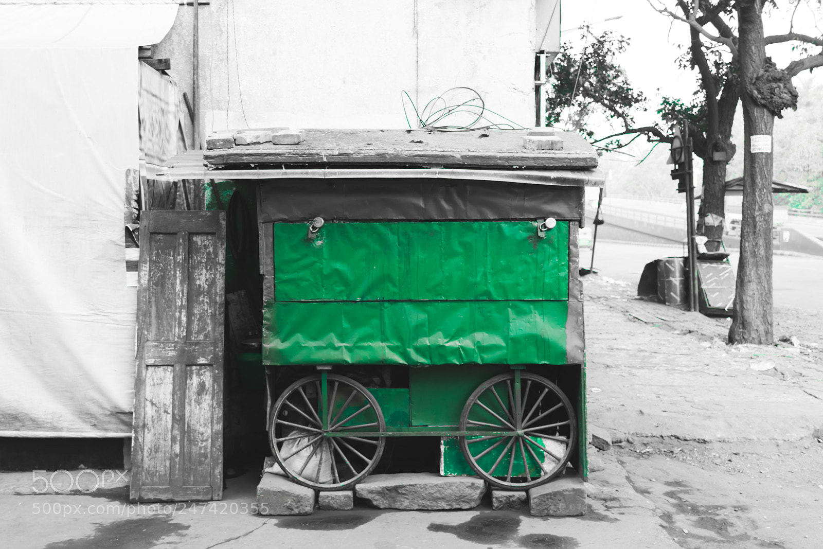 Canon EOS 80D sample photo. Green tones on a photography