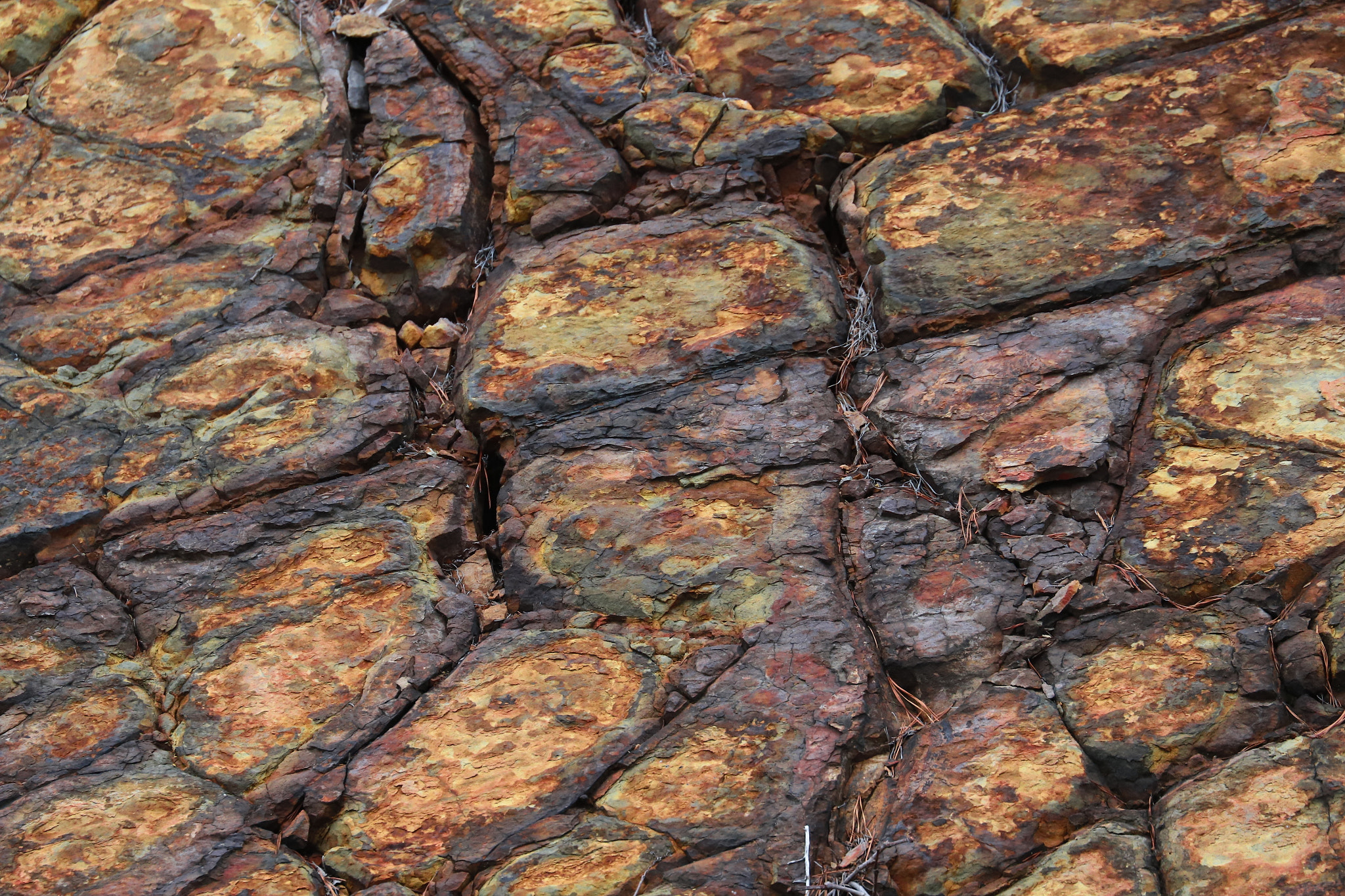 Canon EOS 6D Mark II sample photo. Cliff side on blue ridge mountains. photography