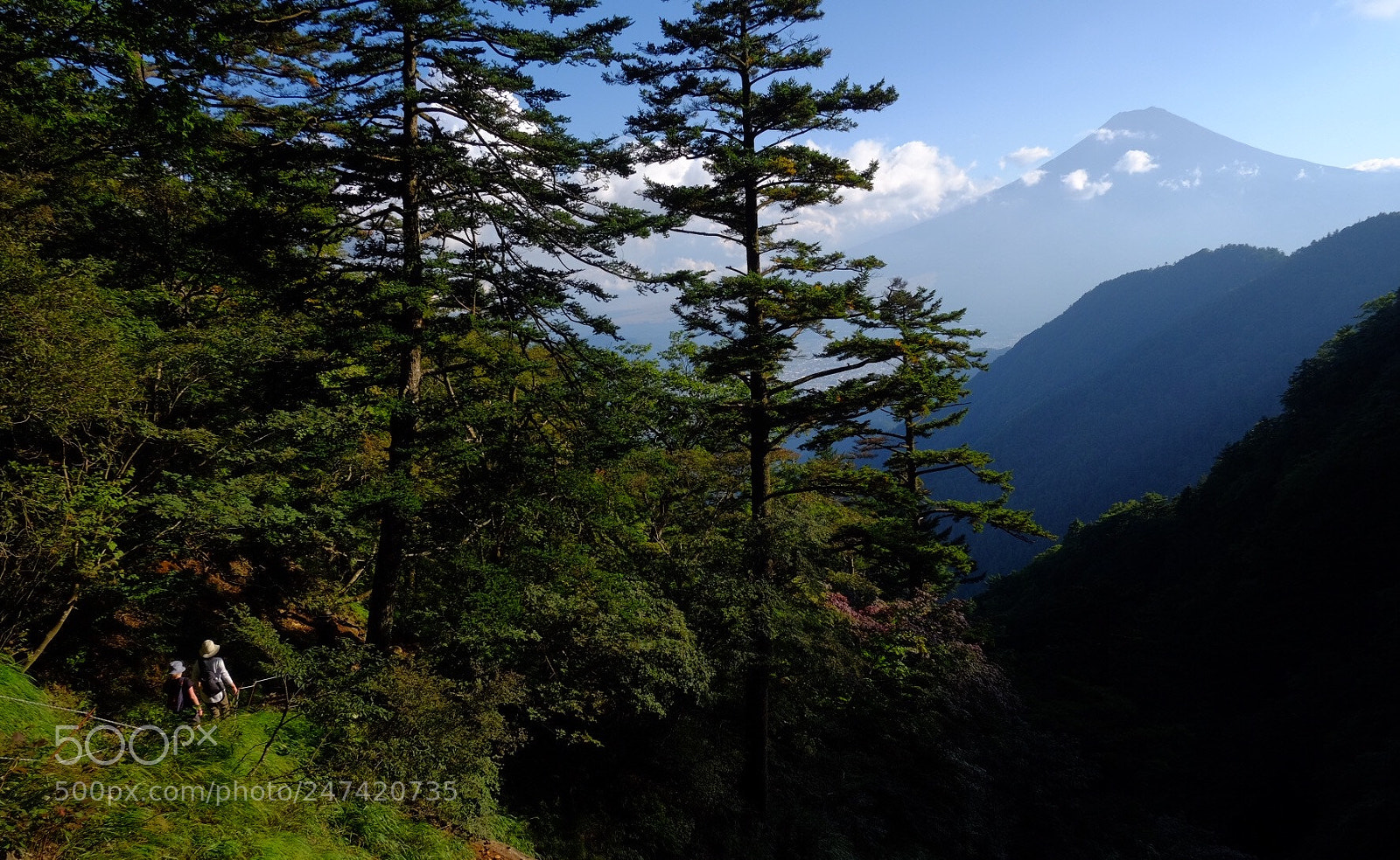 Fujifilm X-T1 sample photo. Untitled photography