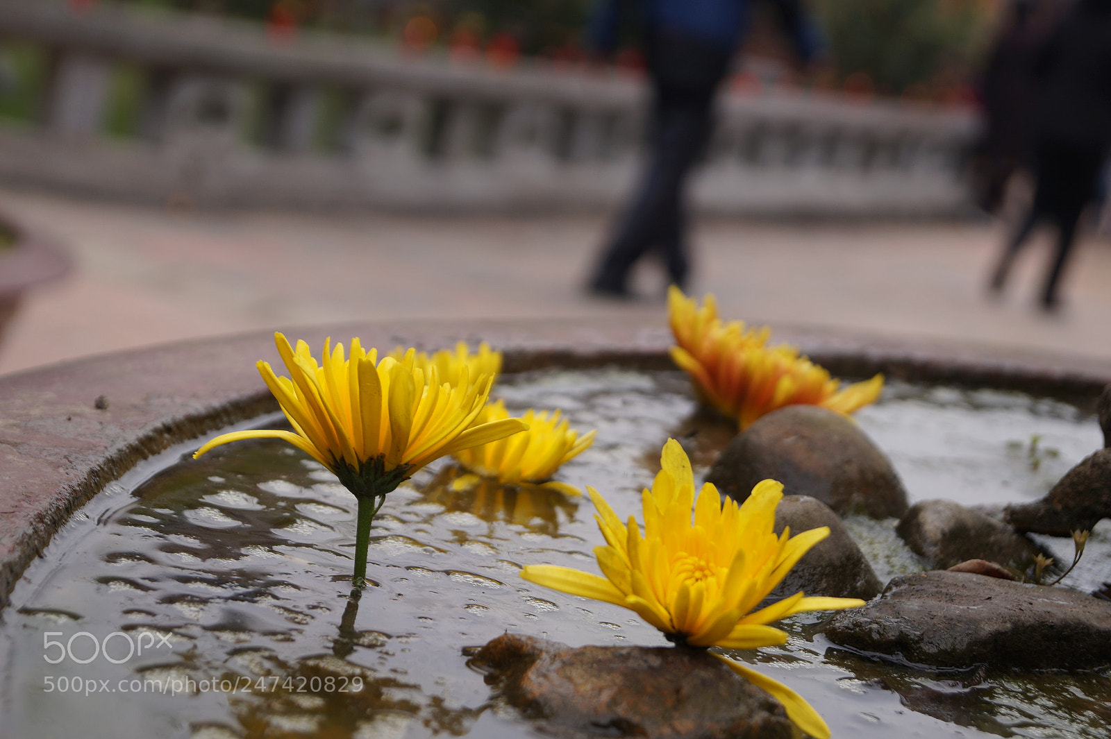 Sony SLT-A58 sample photo. Retreat photography