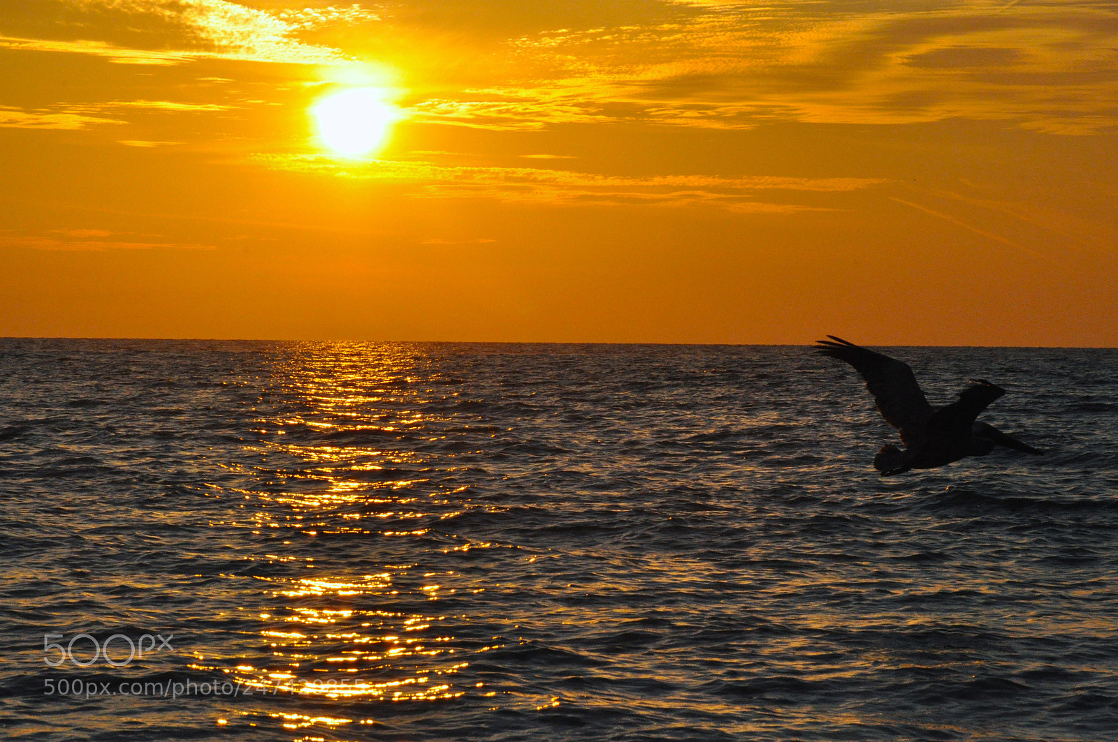 Nikon D90 sample photo. Orange sunset photography