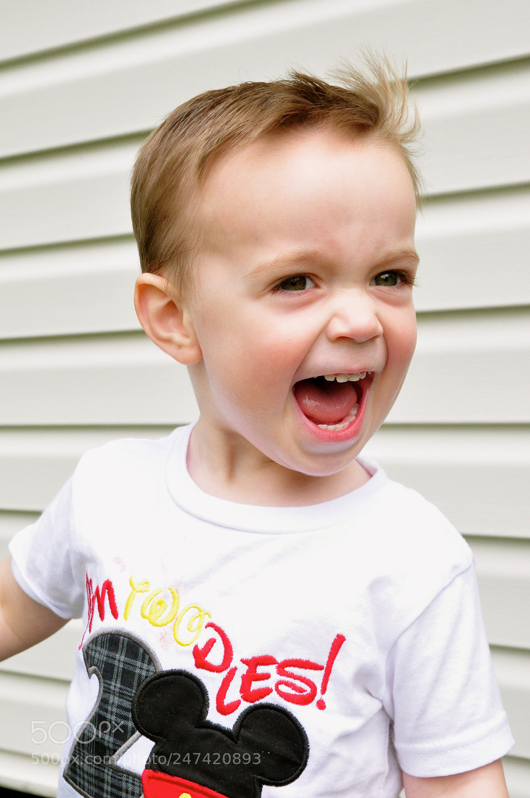 Nikon D90 sample photo. Mickey mouse party photography