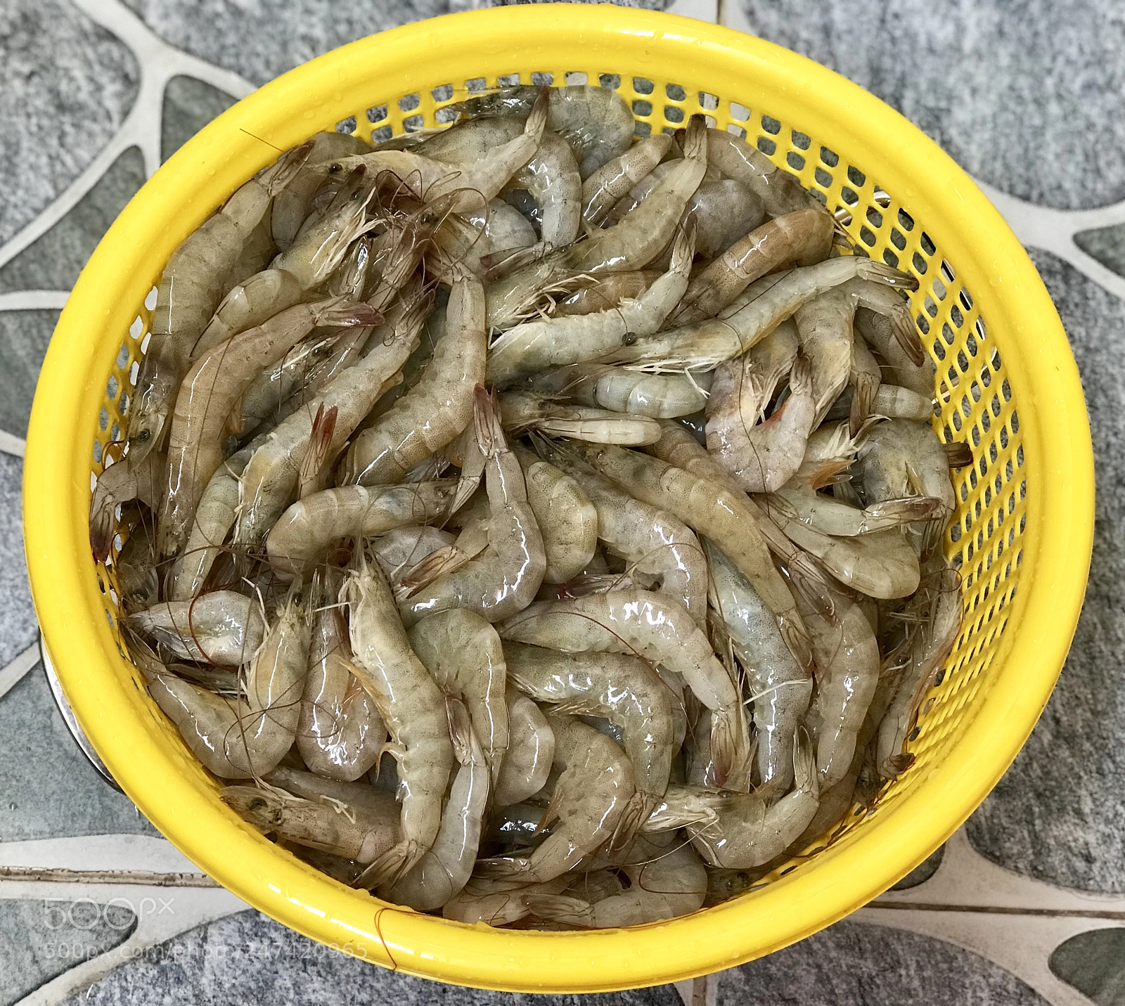 Apple iPhone 7 Plus sample photo. Fresh prawns photography