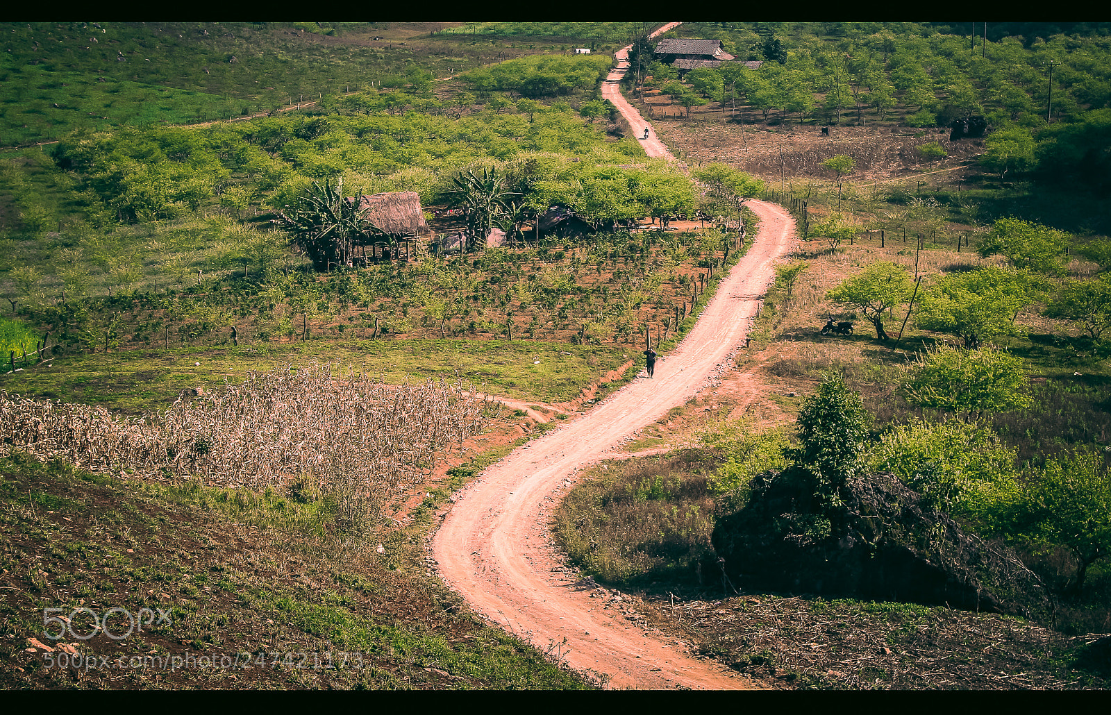 Canon EOS 7D sample photo. Untitled photography