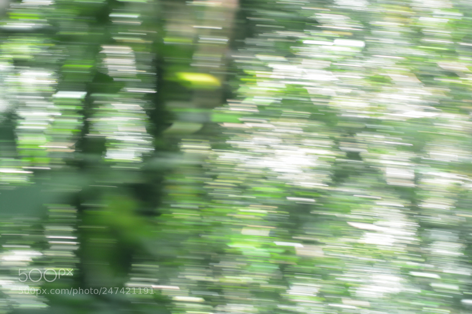 Nikon D5200 sample photo. Sometimes your mind spins photography