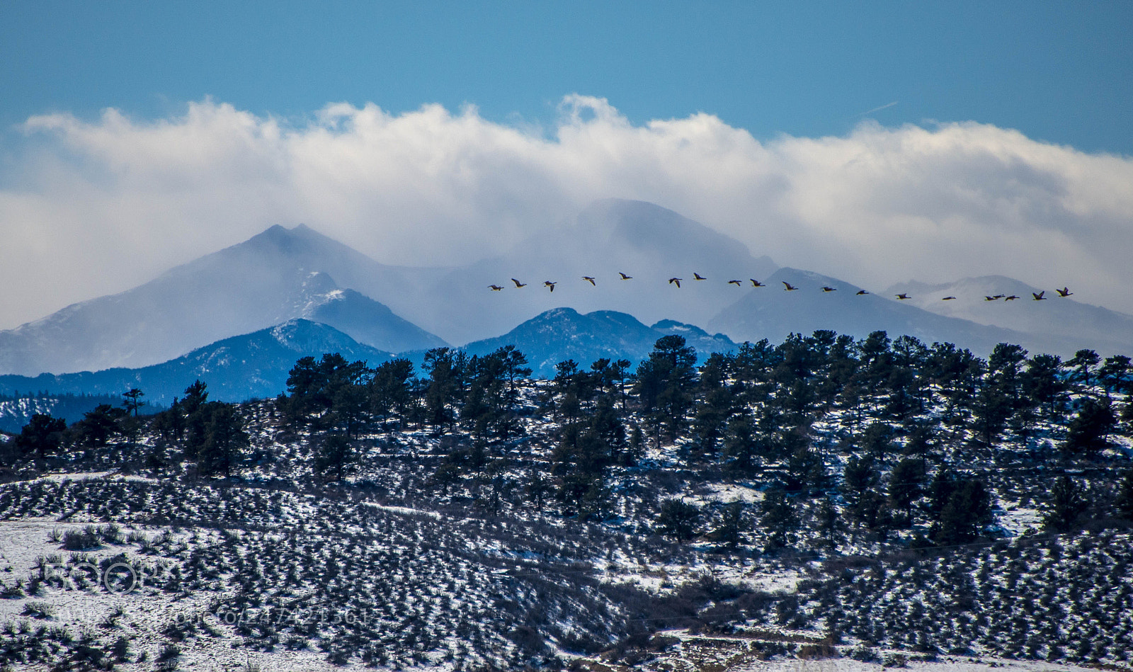 Nikon D800 sample photo. Untitled photography