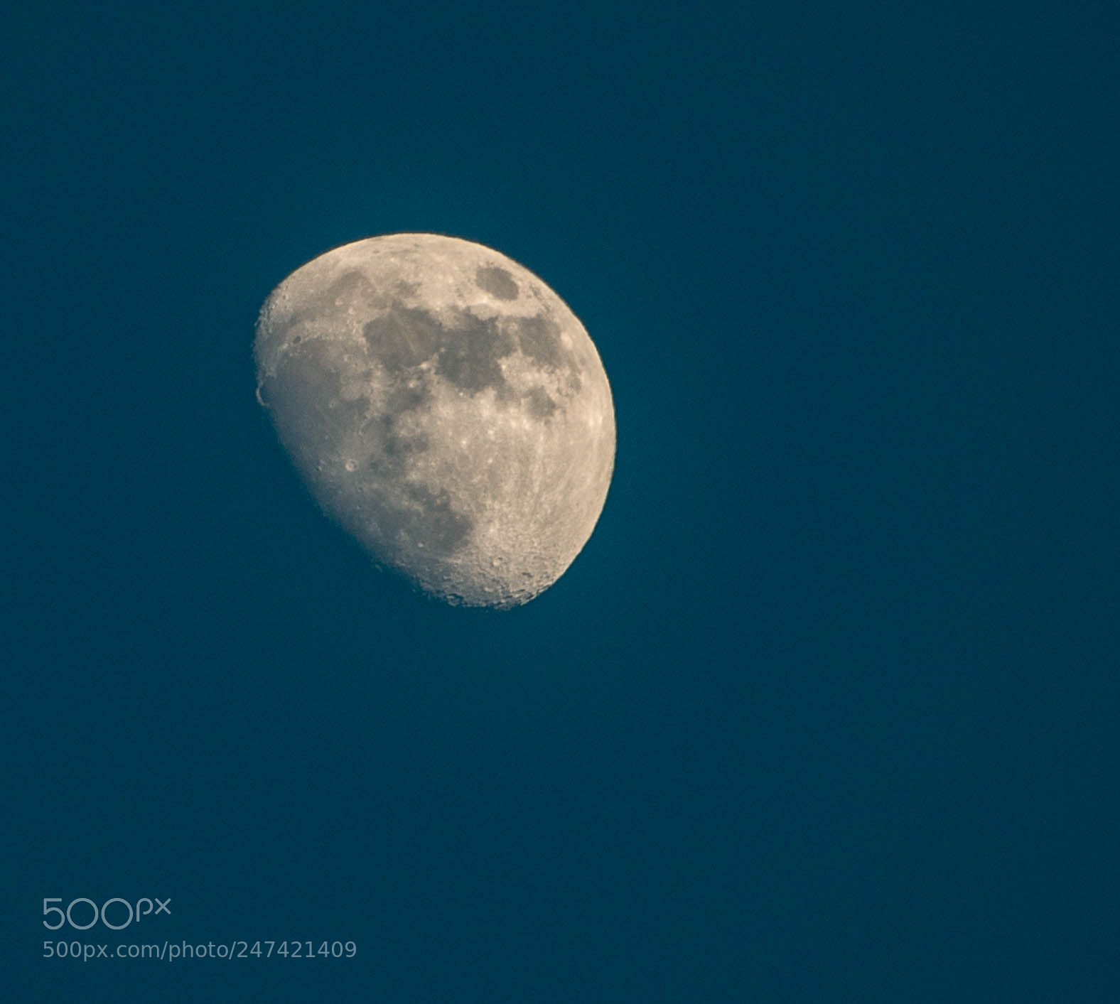 Nikon D800 sample photo. Untitled photography