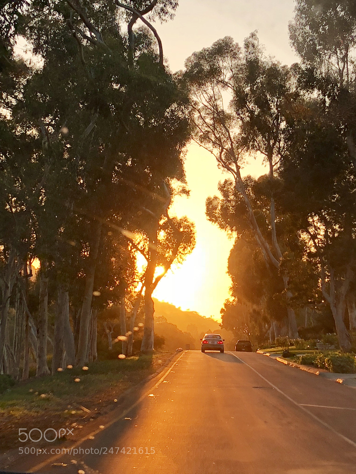Apple iPhone X sample photo. Evening drive photography