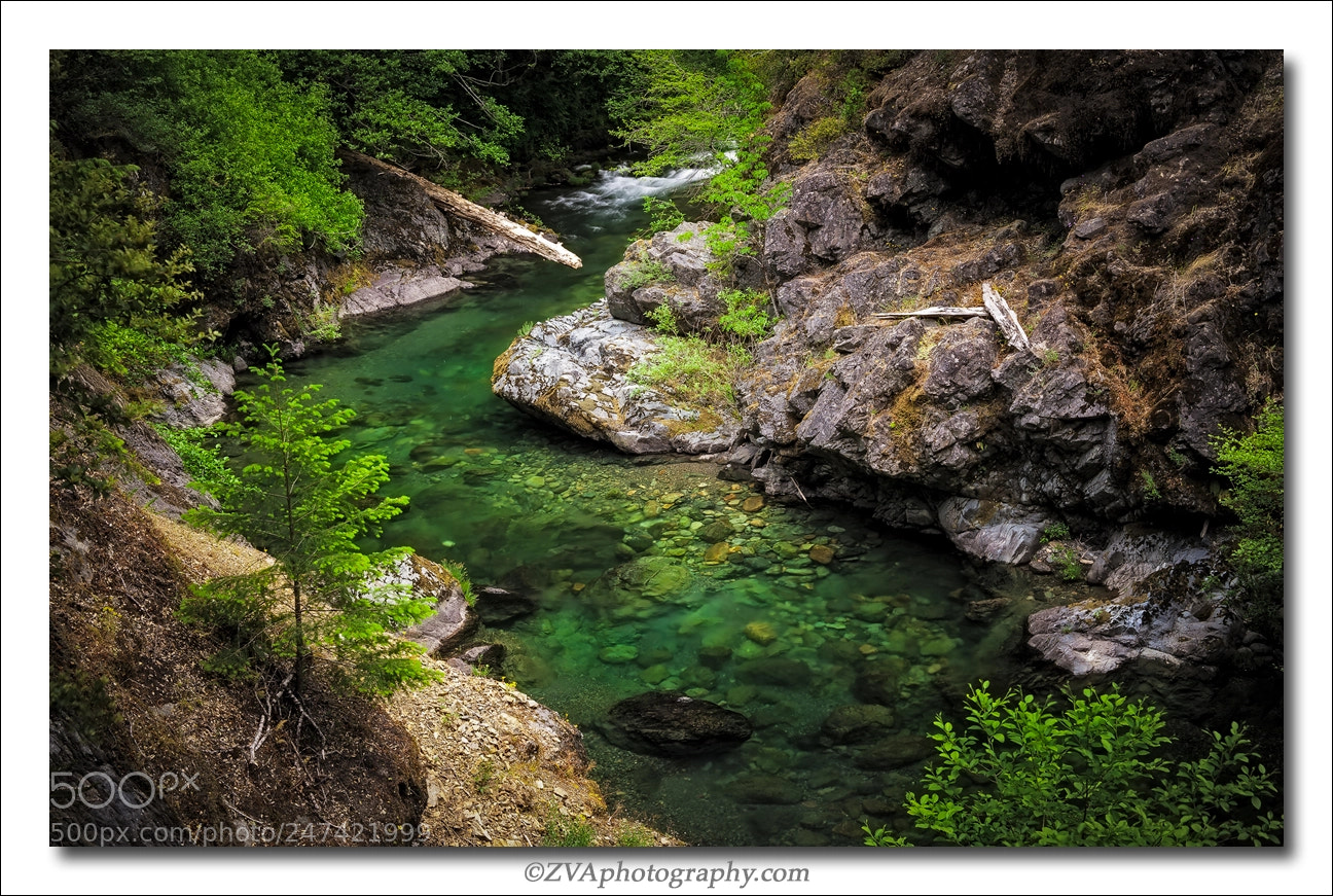 Canon EOS-1Ds Mark III sample photo. Opel creek, oregon photography