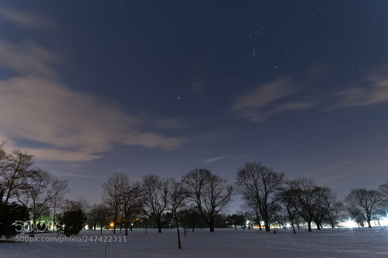 Nikon D500 sample photo. Snow and night sky photography