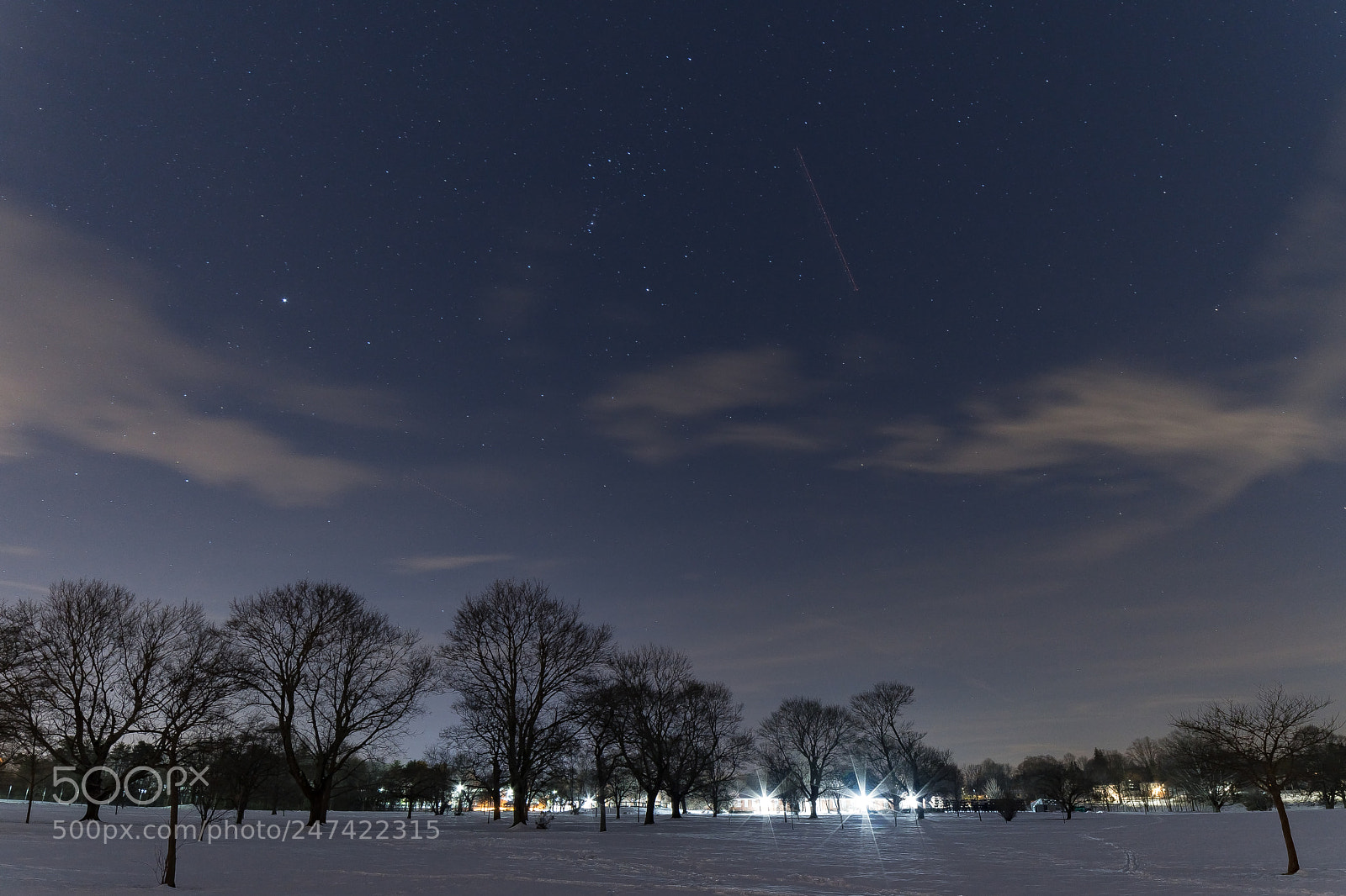 Nikon D500 sample photo. Snow and night stars photography