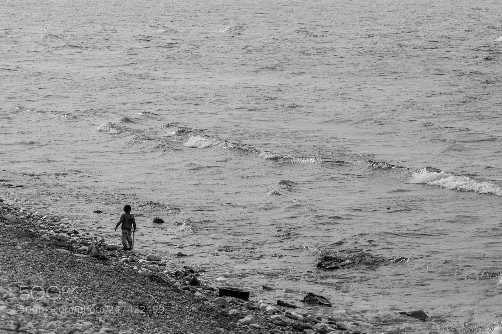 Nikon D5500 sample photo. The little boy and photography