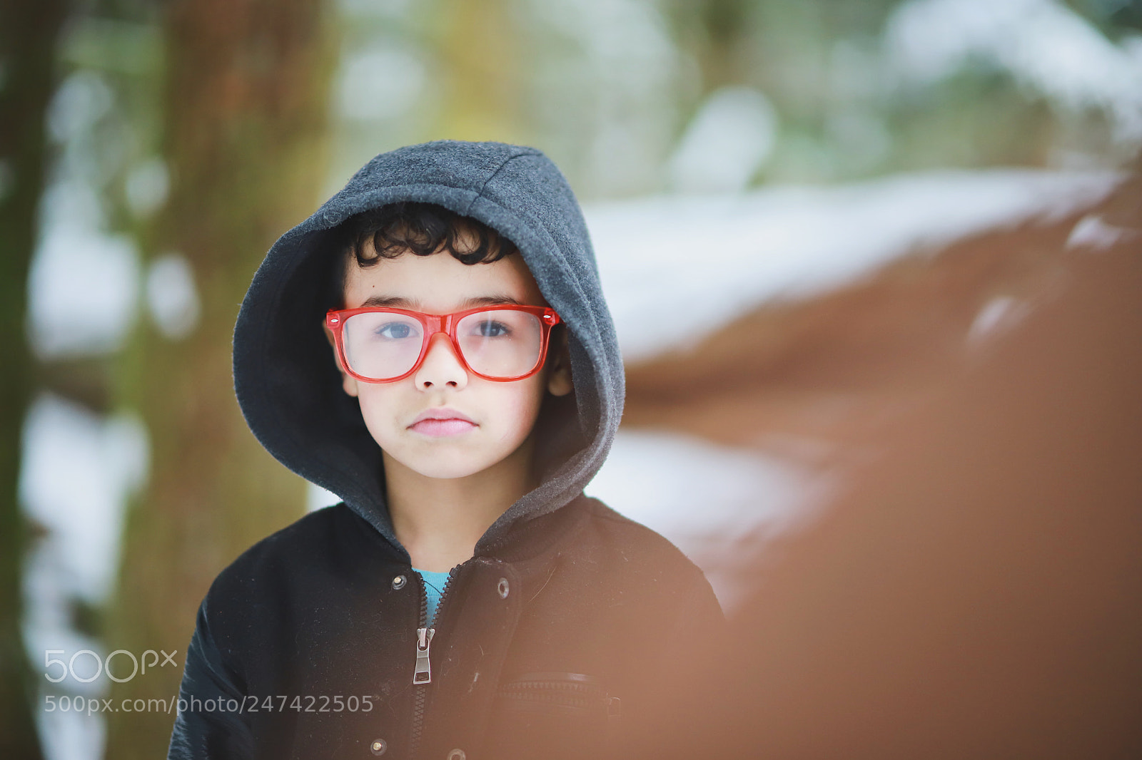 Canon EOS 6D Mark II sample photo. Untitled photography