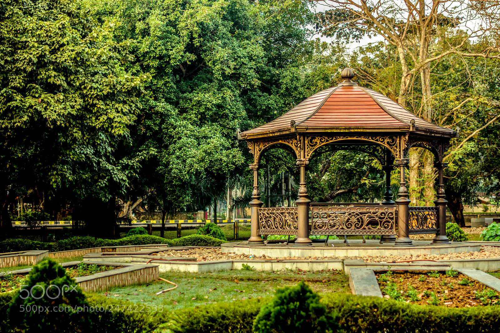 Nikon D5200 sample photo. Green photography