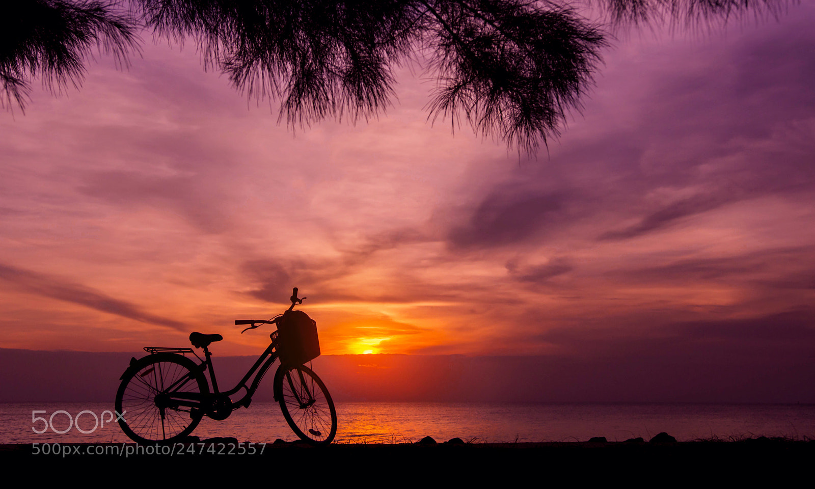 Nikon D7200 sample photo. Ecology traveling by bike photography