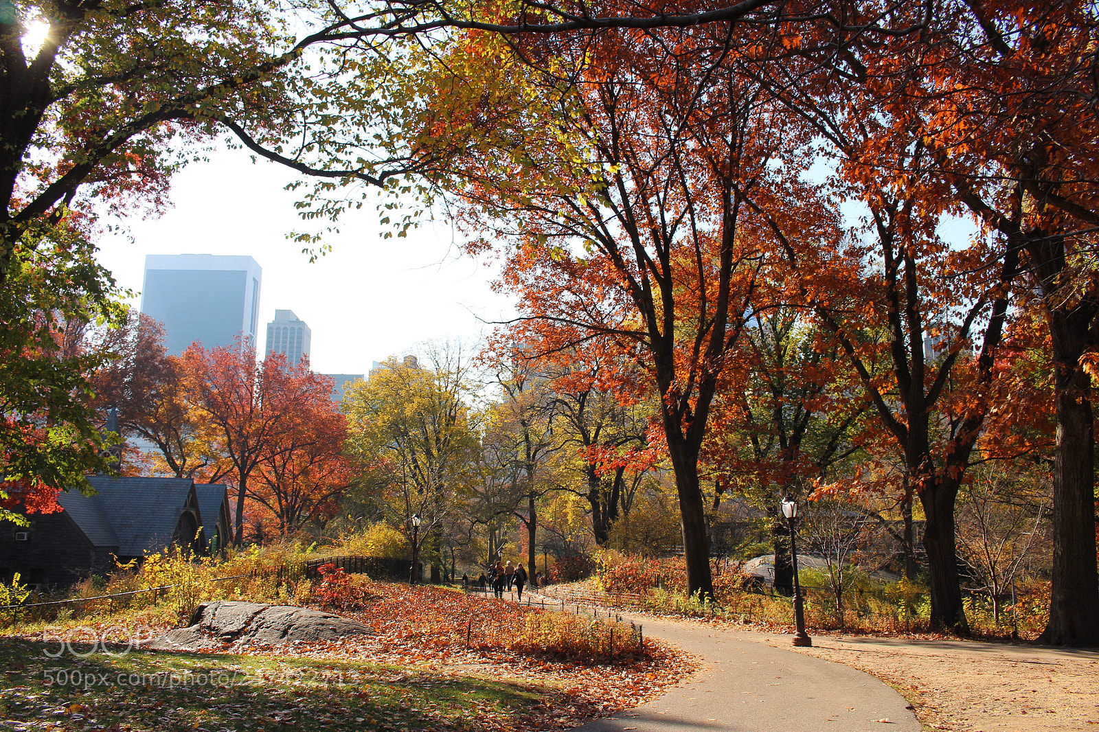 Canon EOS 700D (EOS Rebel T5i / EOS Kiss X7i) sample photo. Central park in the photography