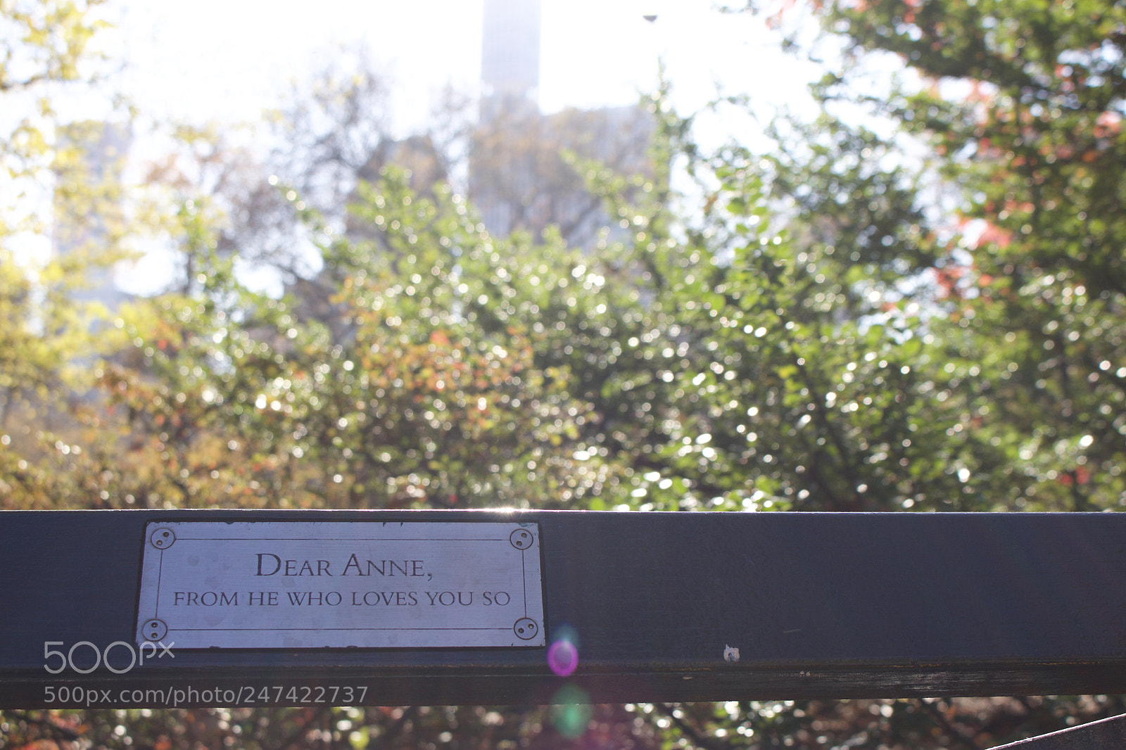 Canon EOS 700D (EOS Rebel T5i / EOS Kiss X7i) sample photo. Bench in central park photography