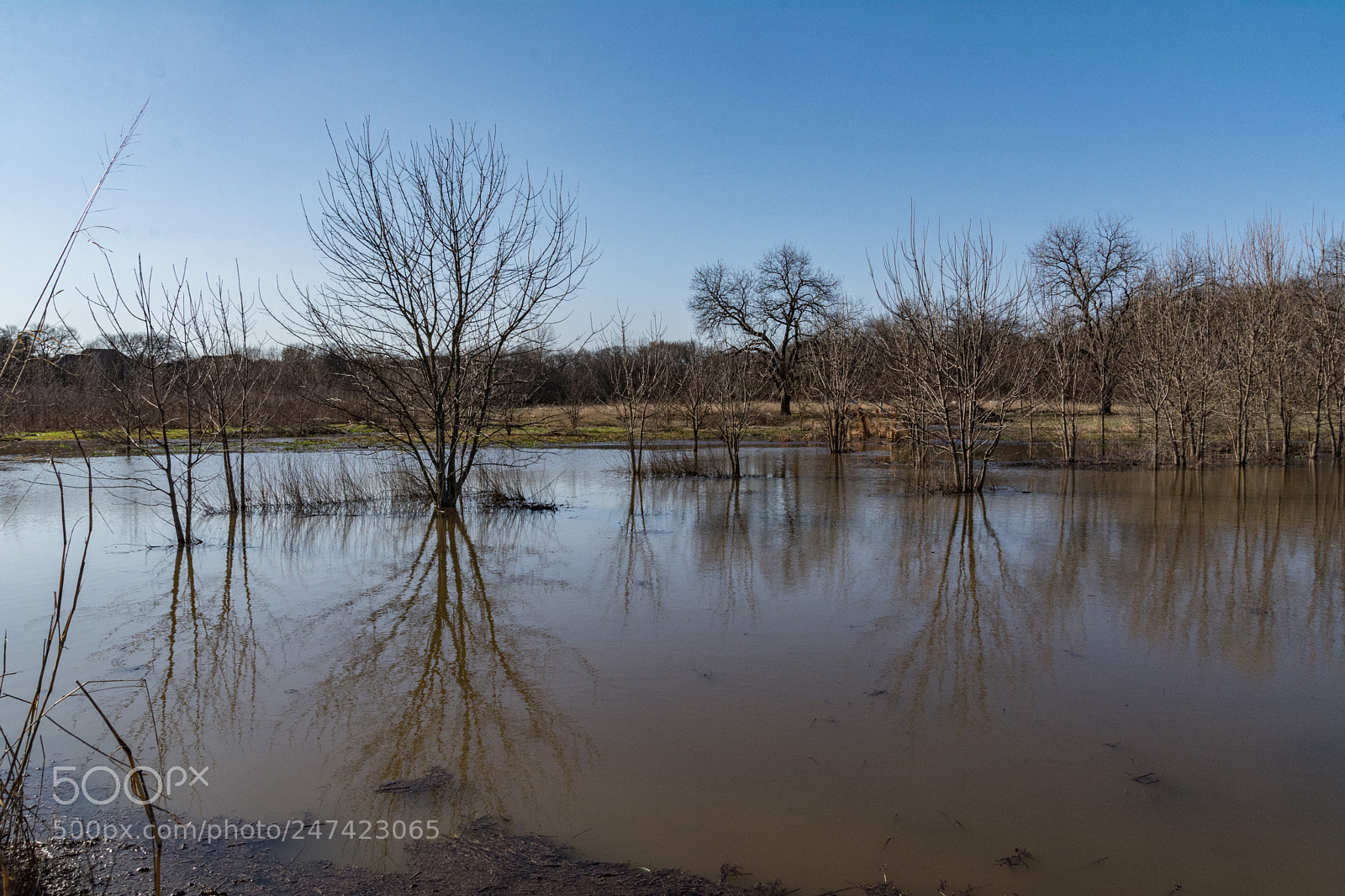Nikon D7100 sample photo. Reflections from rising water photography