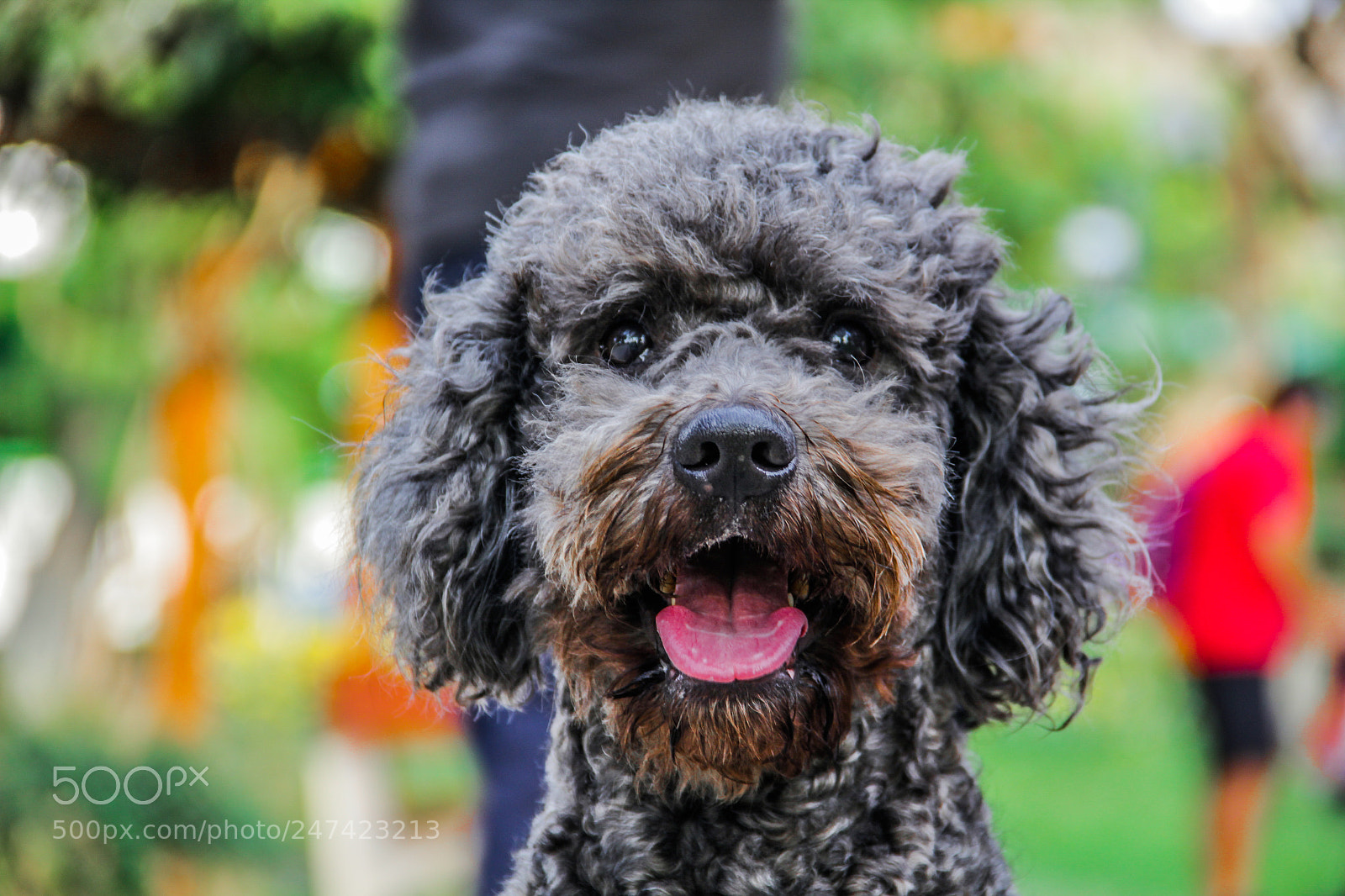 Canon EOS 60D sample photo. Happy kyron photography