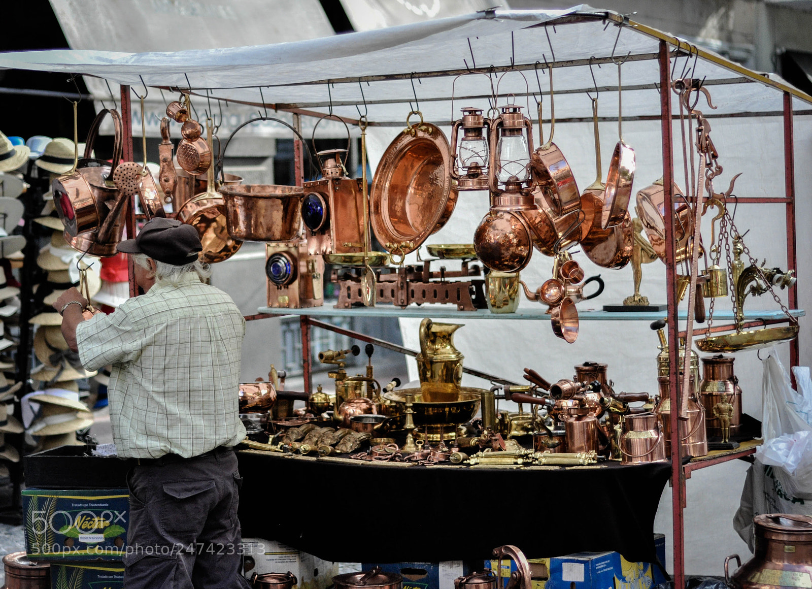 Nikon D90 sample photo. Untitled photography