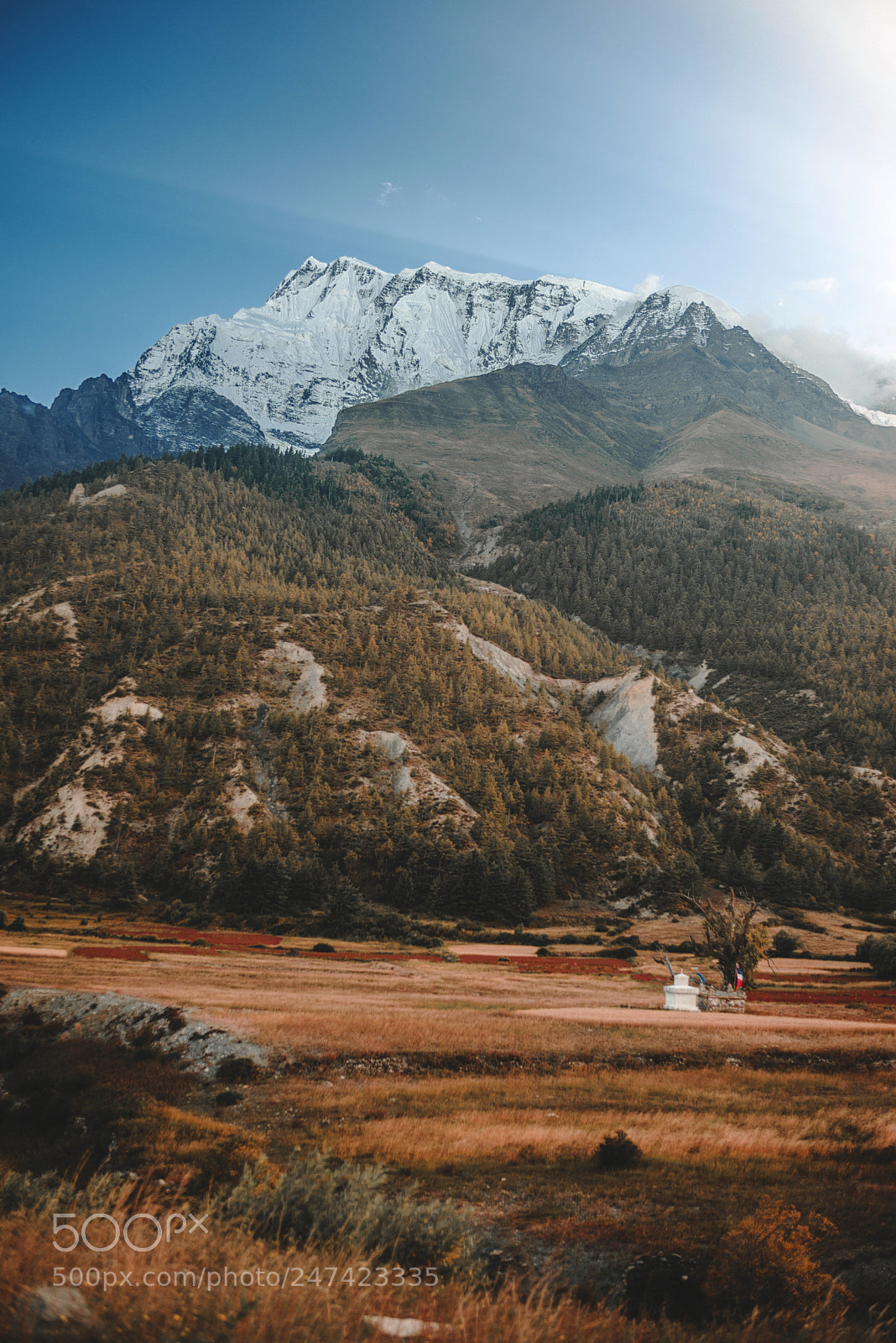 Nikon D610 sample photo. Manang nepal photography