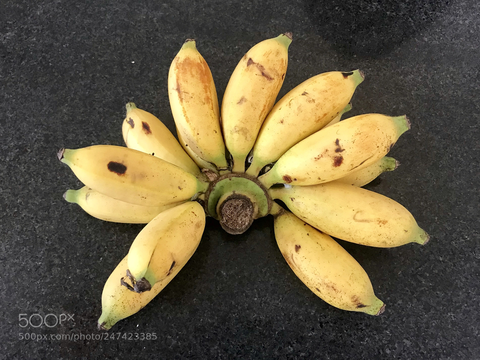 Apple iPhone 7 Plus sample photo. Yummy bananas photography